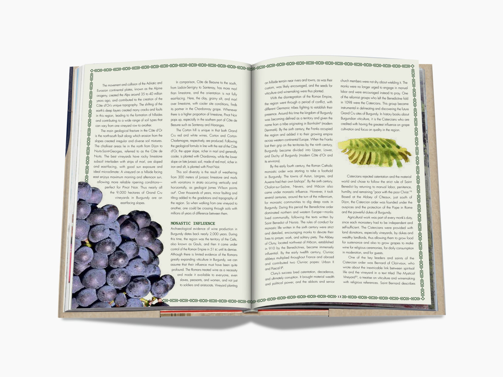 Open book spread with a grape cluster on the left page and a bordered page showing a grape leaf illustration on the right.
