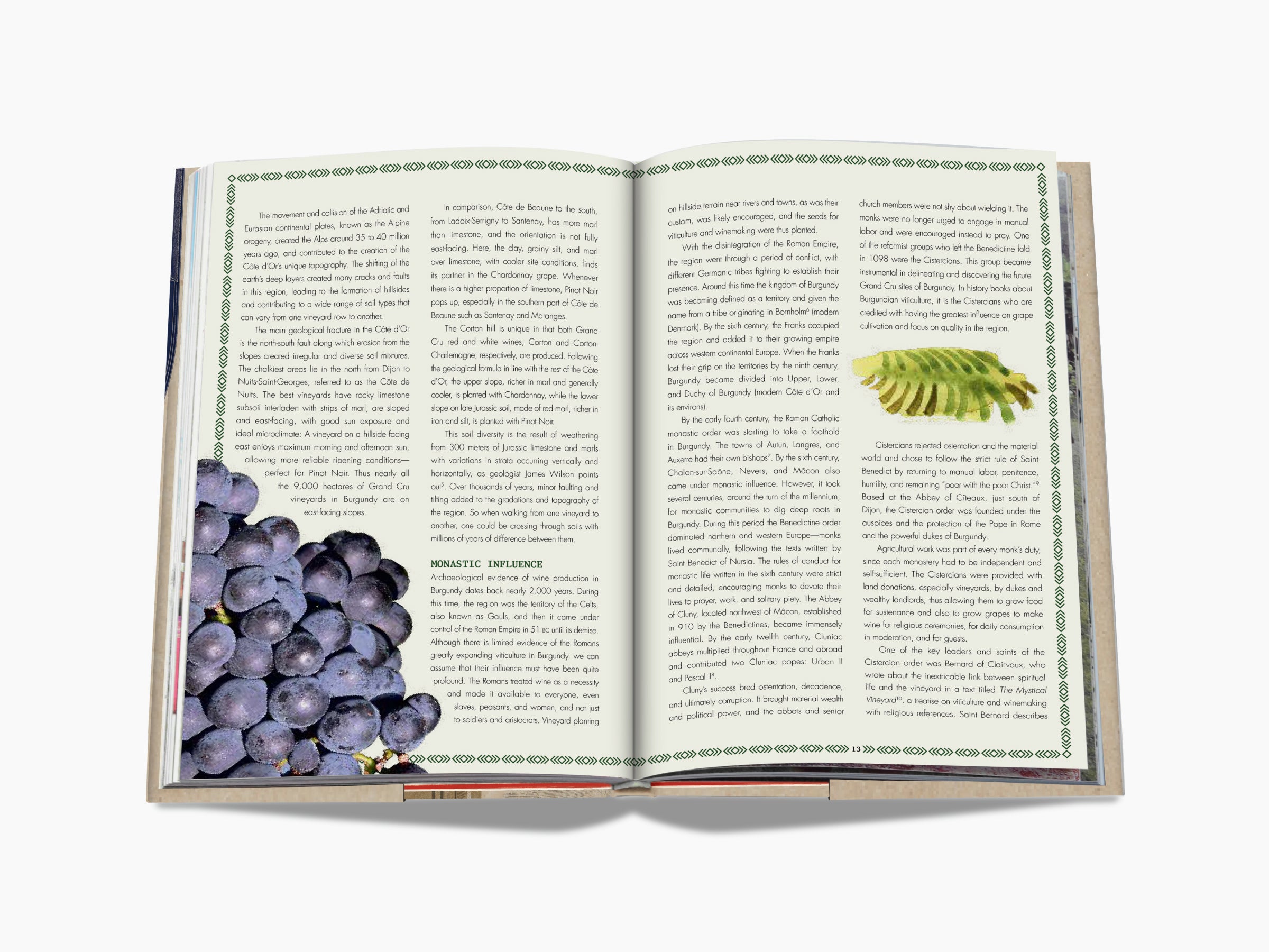 Open book spread with a grape cluster on the left page and a bordered page showing a grape leaf illustration on the right.