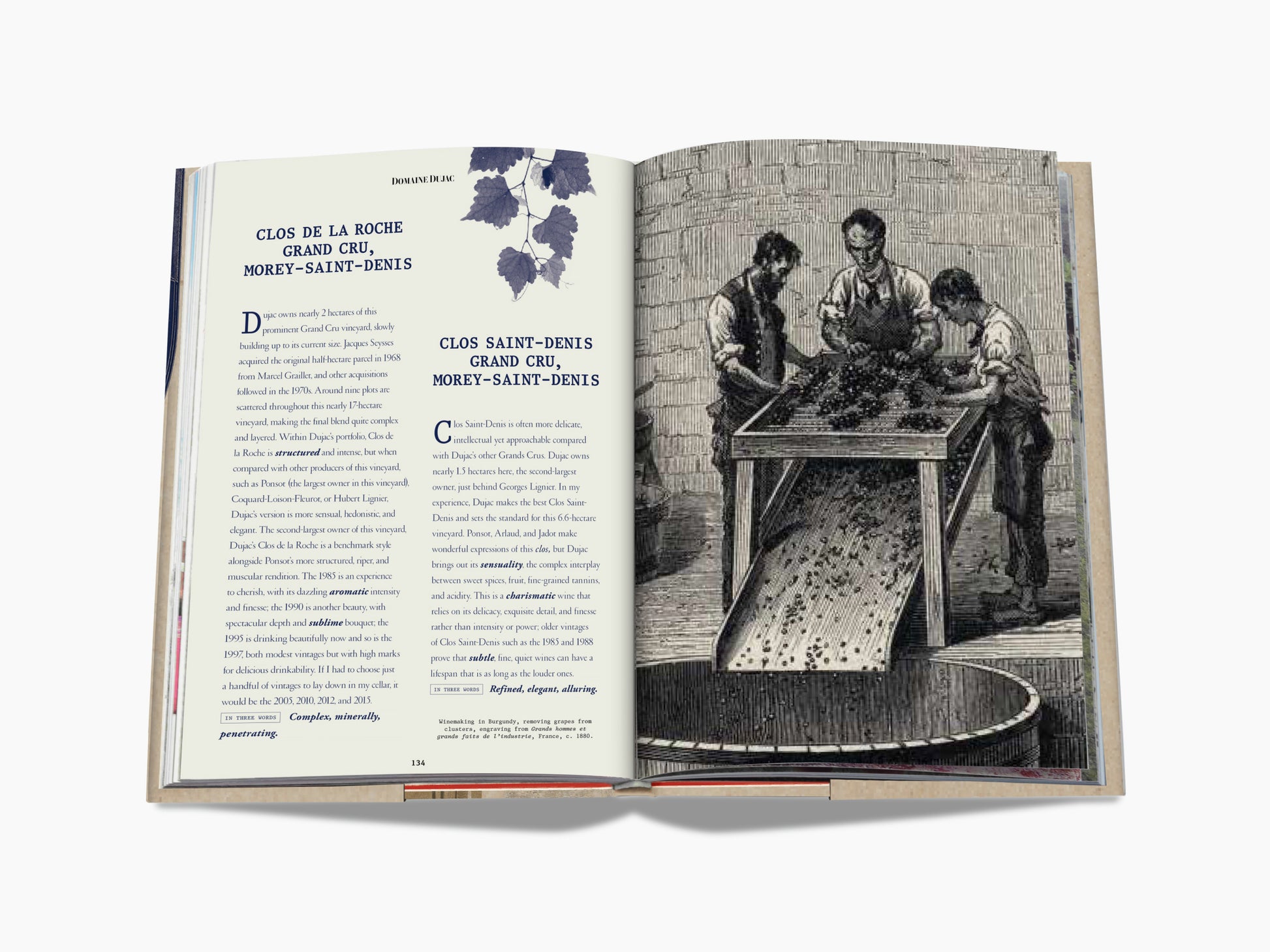 Open book spread with a blue leaf motif on the left and a vintage engraving of workers at a grape press on the right.