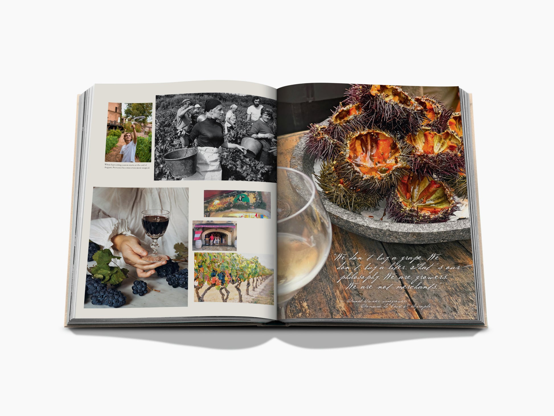 Open book spread showing a left page collage of wine photos and a right page featuring a wine and vineyard scene.