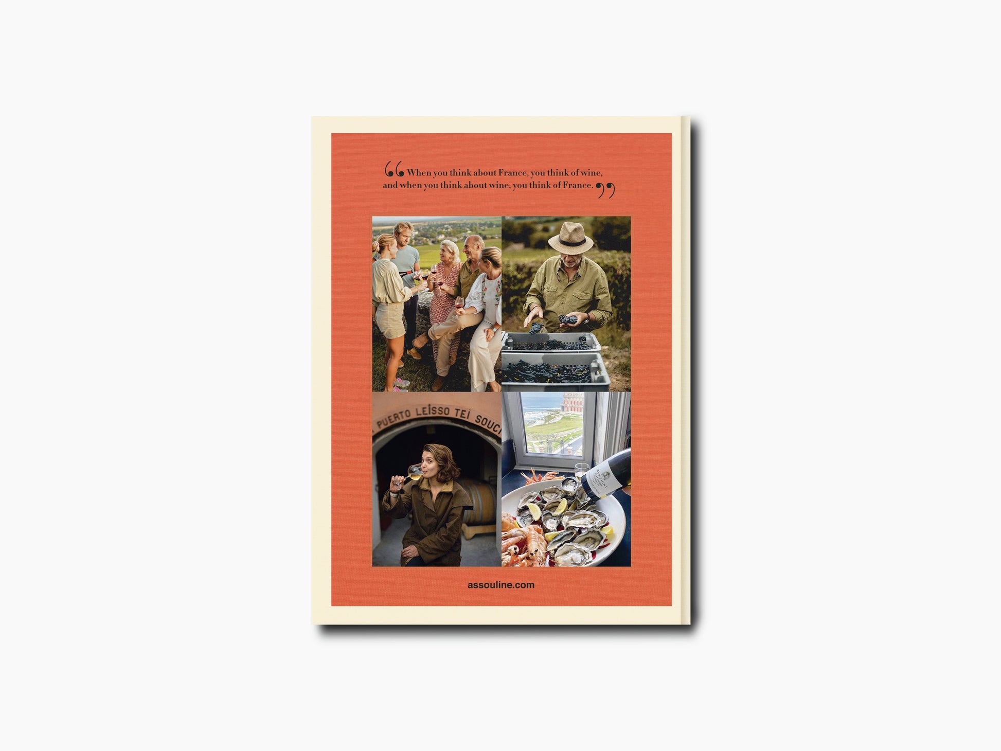 Wine & Travel France cover with warm orange border and collage of vineyard scenes