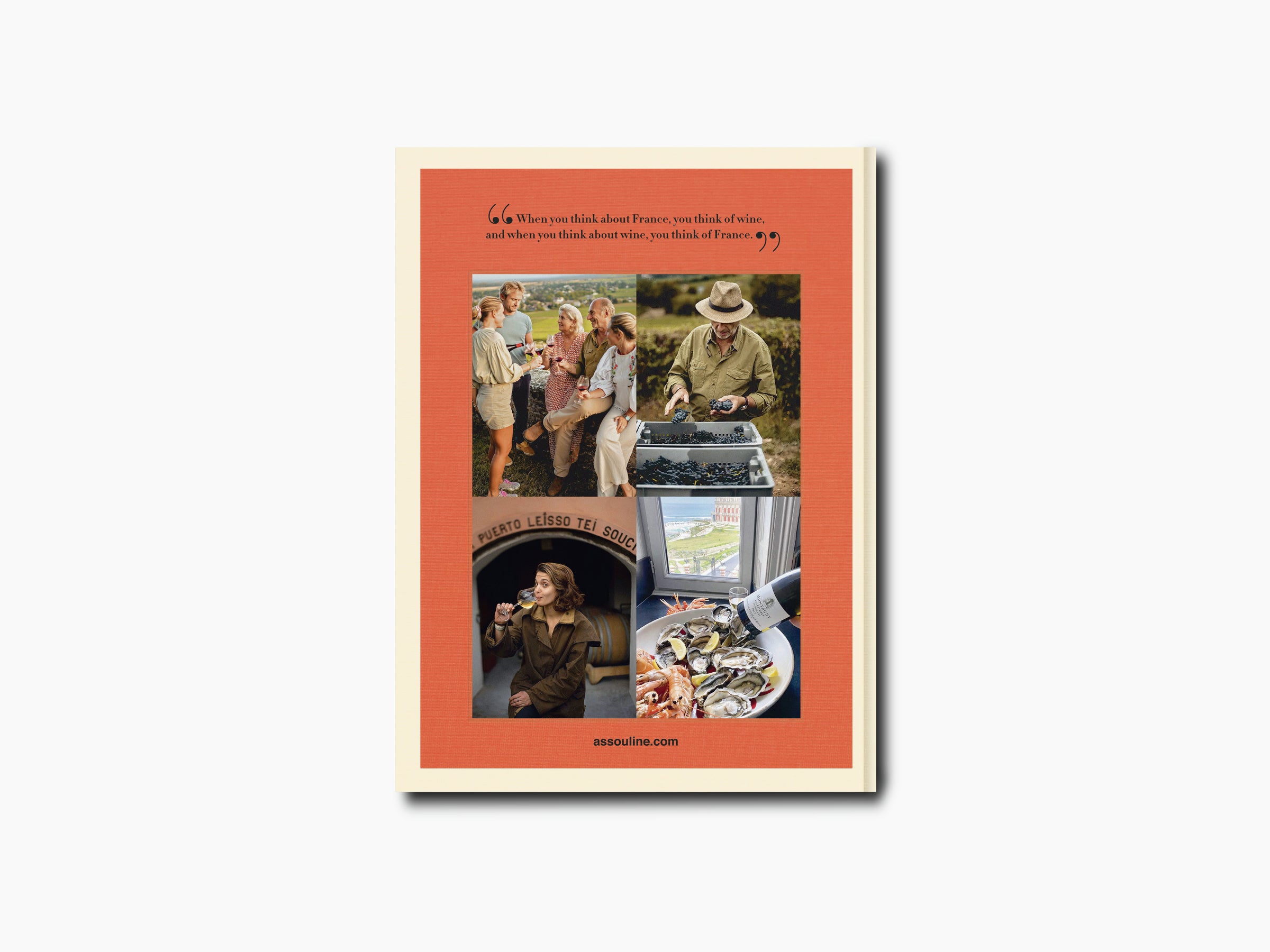 Wine & Travel France cover with warm orange border and collage of vineyard scenes