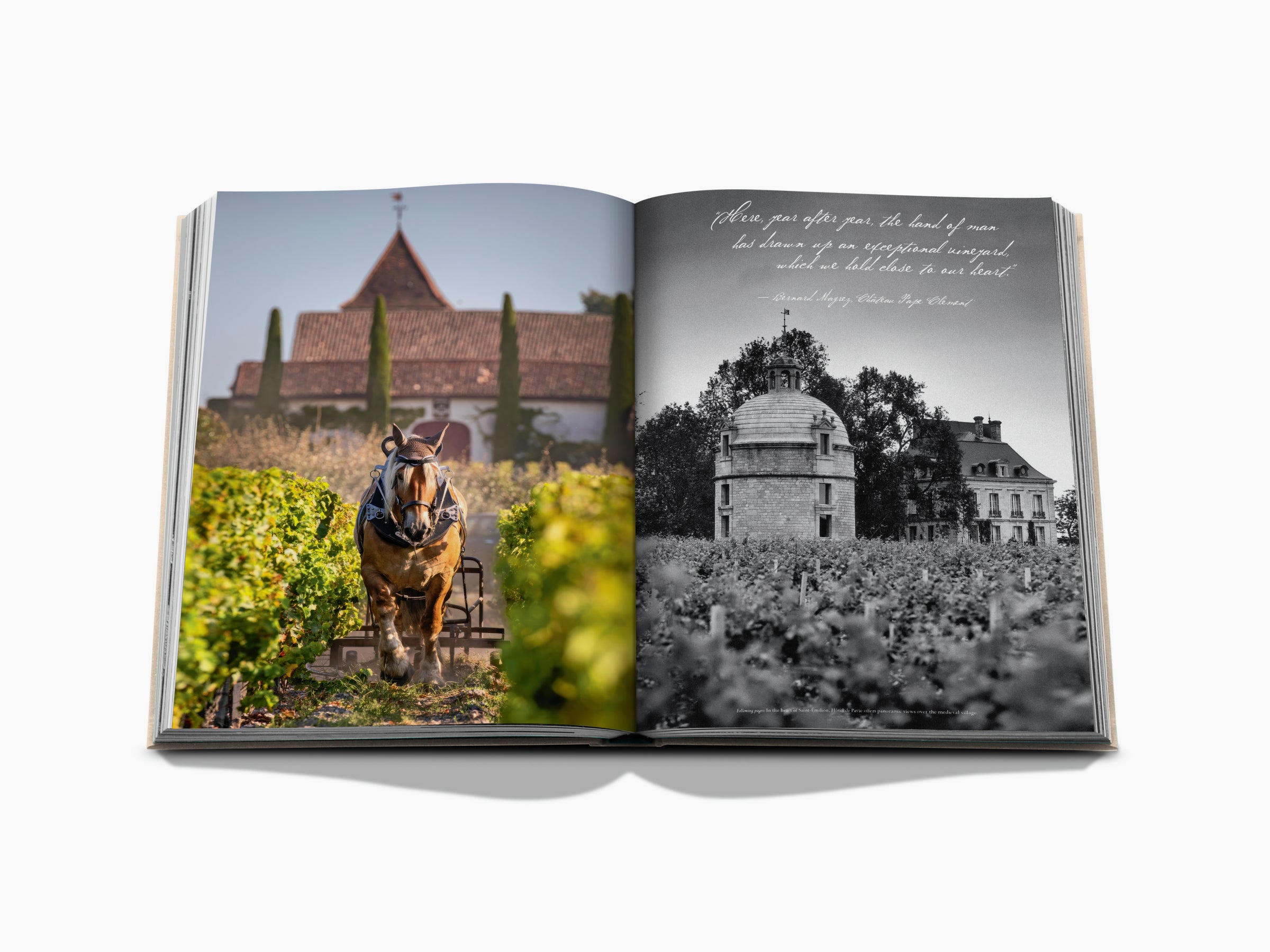 Open book spread with PREFACE text on the left and wine bottle with vintage labels on the right.