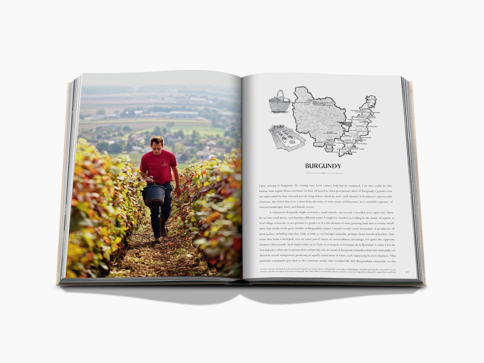 Open wine travel book showing a vineyard worker in a red shirt with a bucket among grapevines on the left and a Burgundy map on the right.