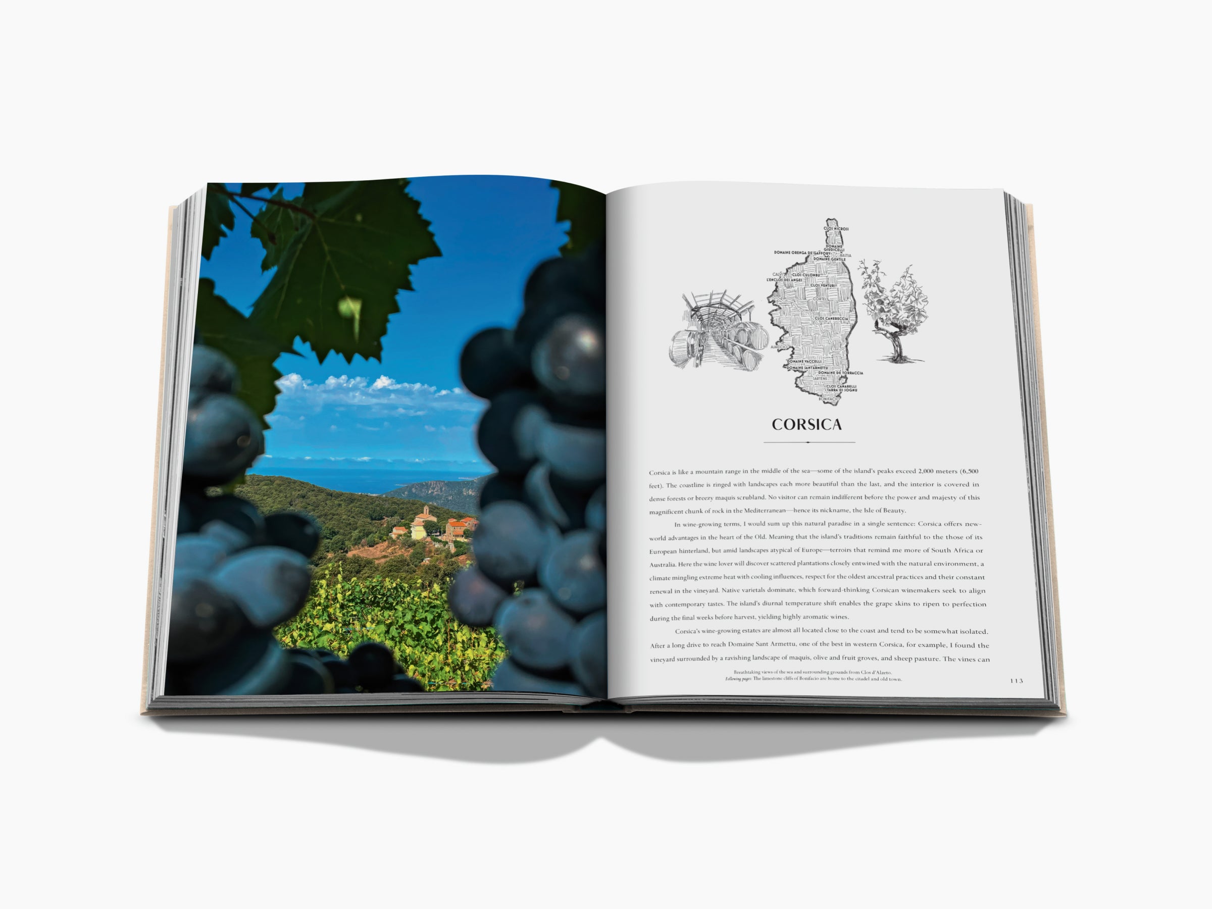 Open wine travel book showing two people on an orange scooter in a vineyard on the left and a sunlit table set with fruit and wine on the right.