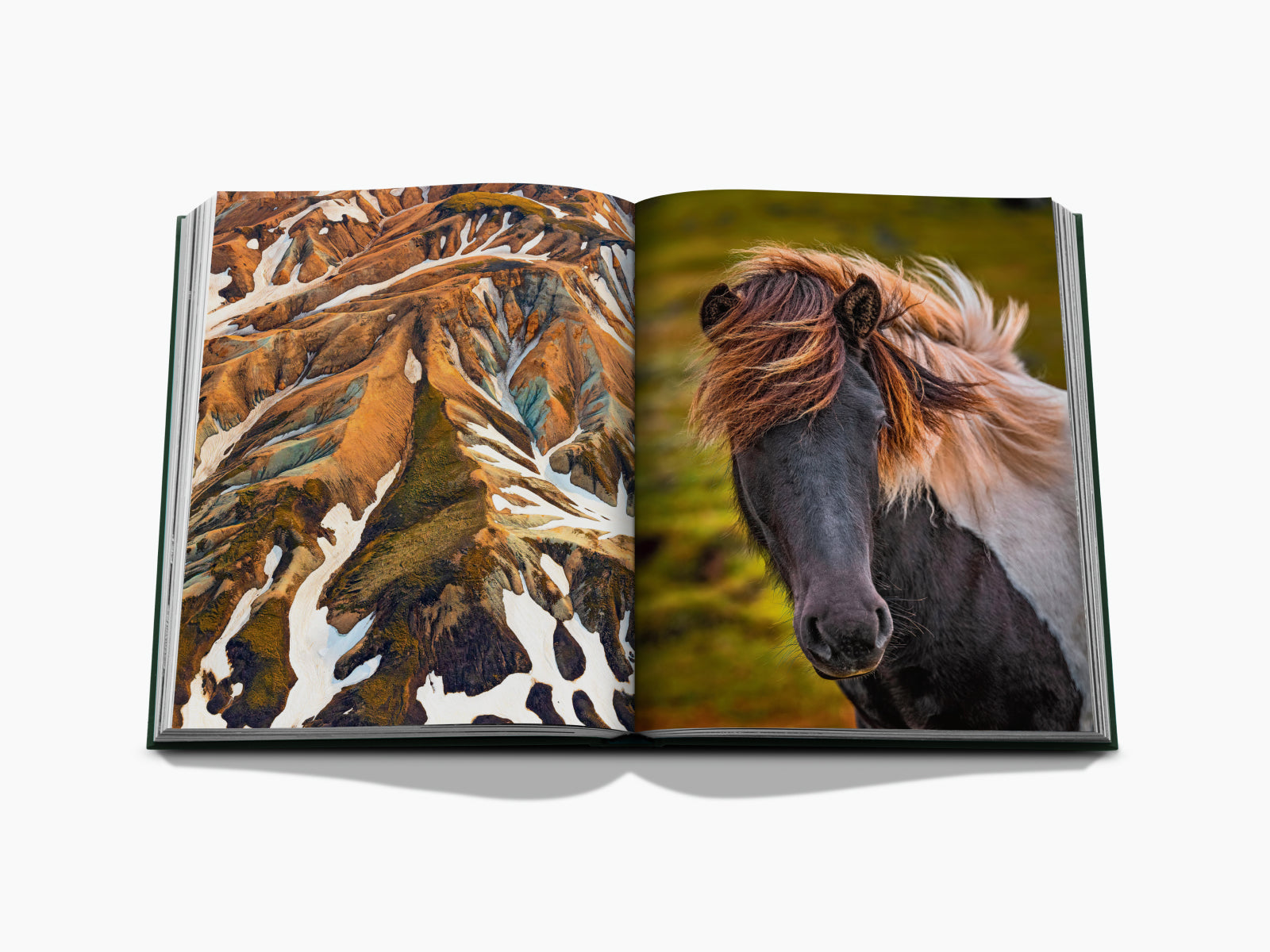 Open Iceland travel book spread with multicolored Icelandic mountains on the left and a shaggy horse on the right.