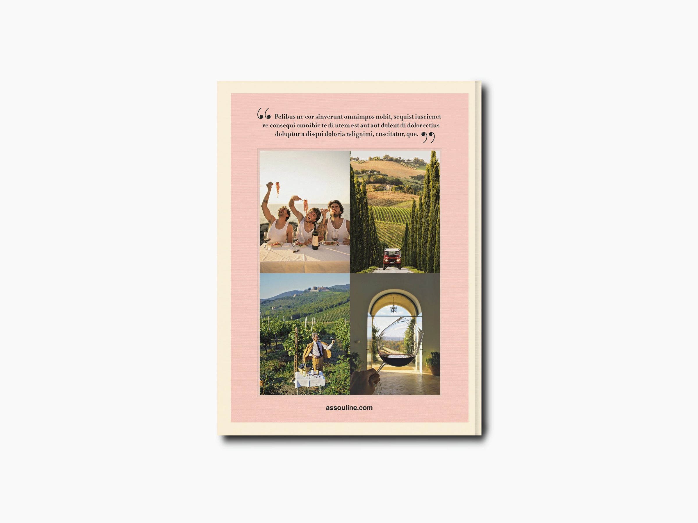 Four-photo collage on a pink bordered page from the Wine & Travel Italy book cover.