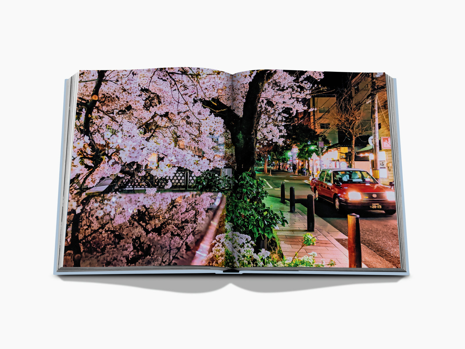 Open book spread displaying a Kyoto street at night lined with cherry blossoms and a red taxi.