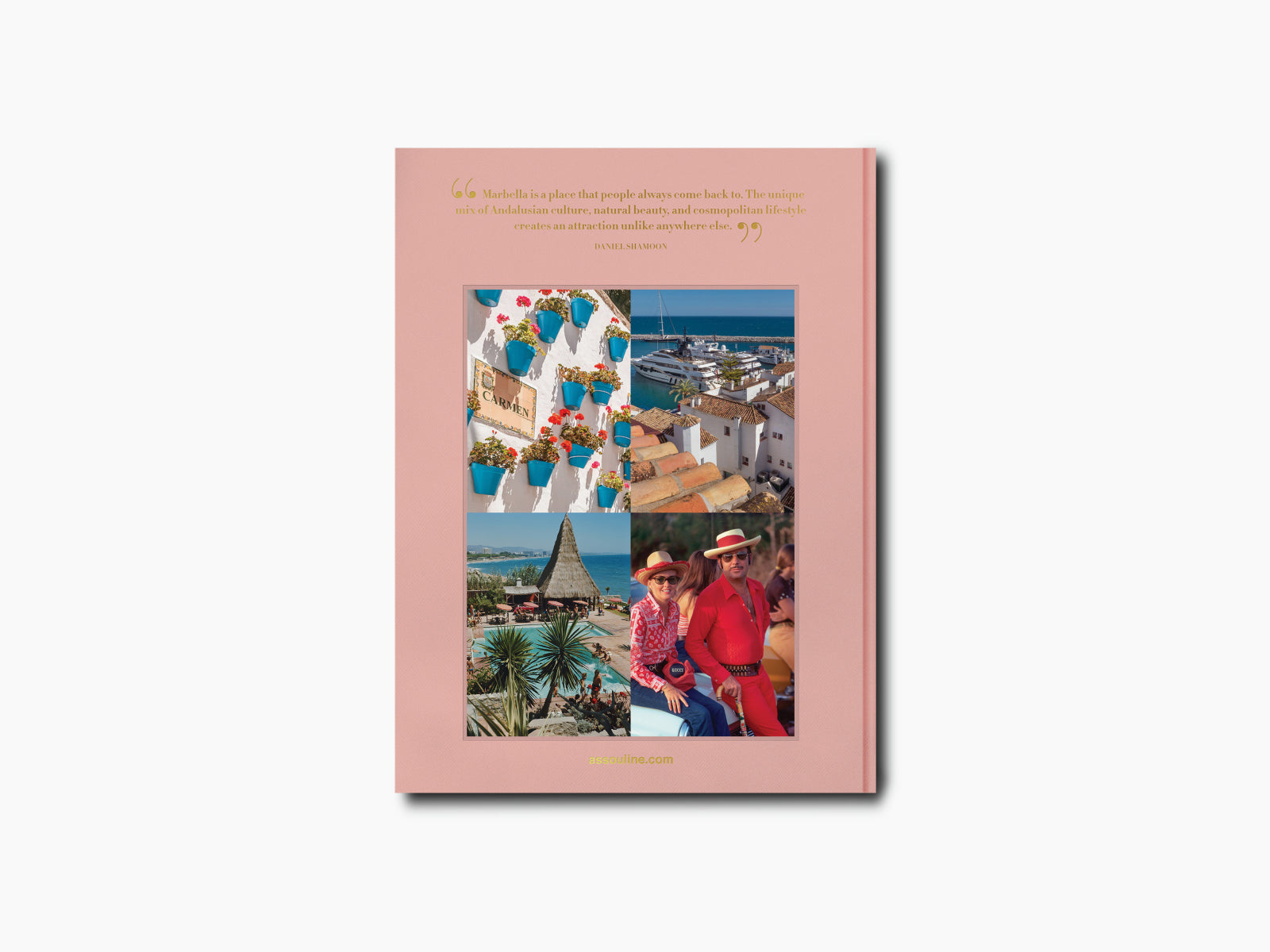 Pink Marbella Sol back cover collage showing blue pots on white walls, coastal rooftops, a thatched hut, and a couple in red.