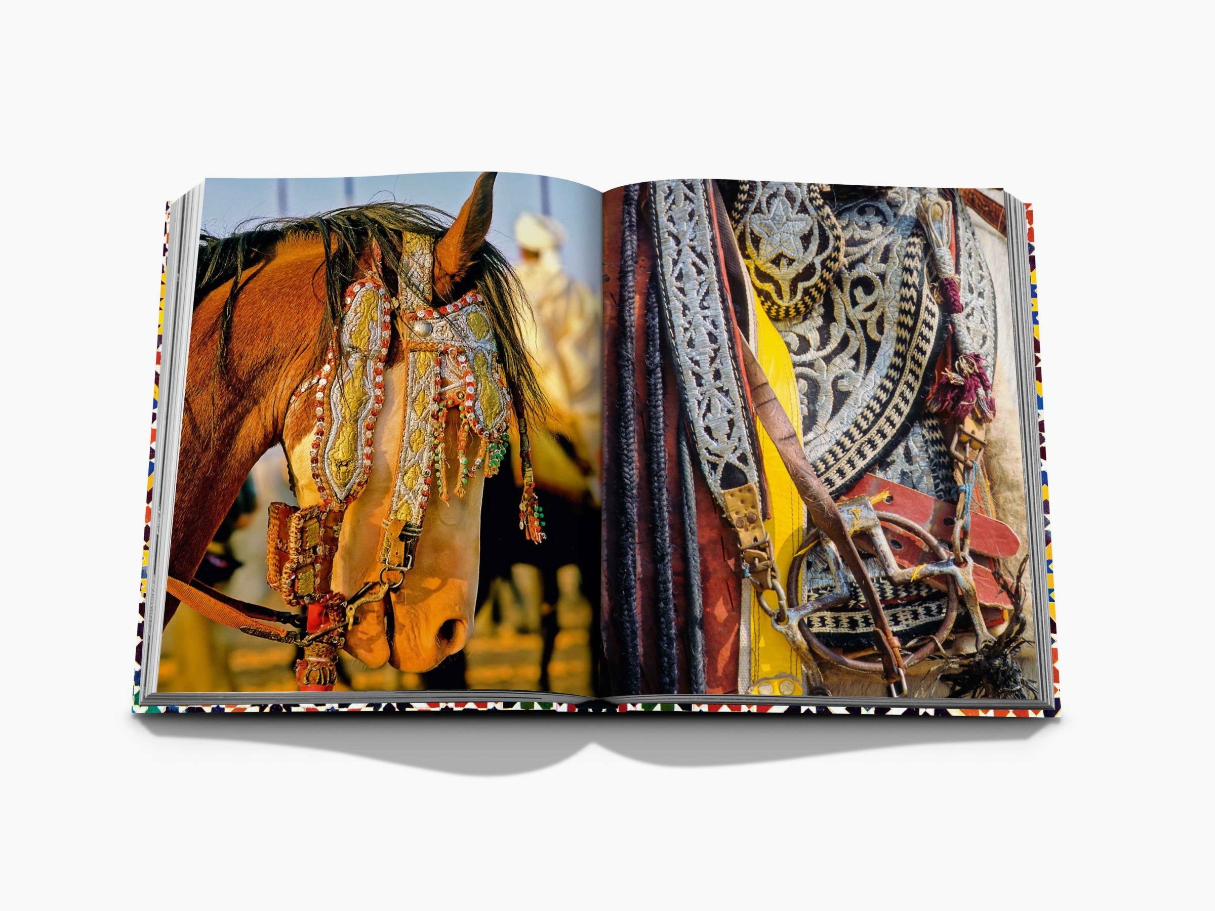 Horse head adorned with elaborate embroidered leather harness and beaded decorations.