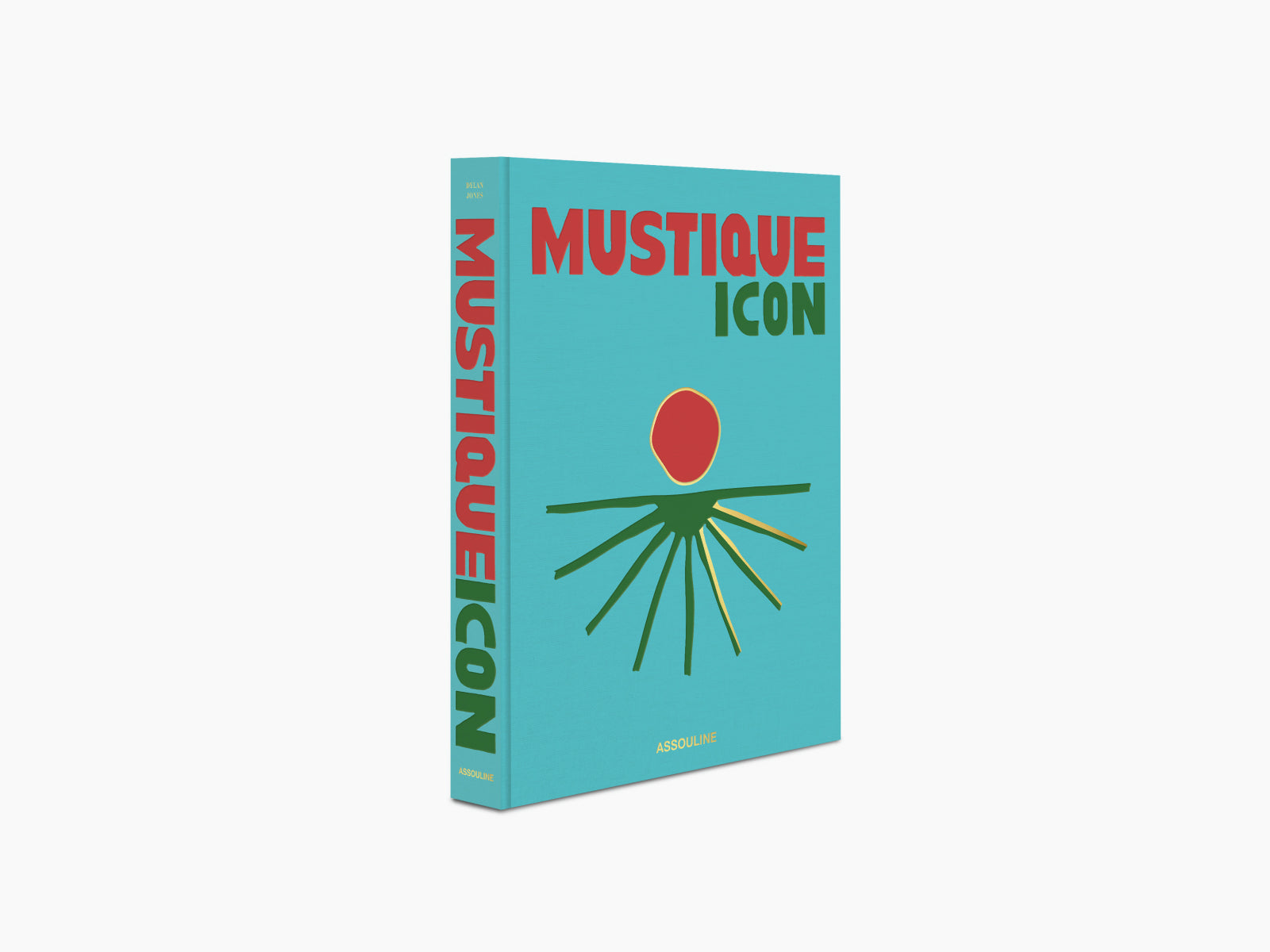 Angled view of Mustique Icon book showing turquoise cover and bold red MUSTIQUE ICON lettering on the spine