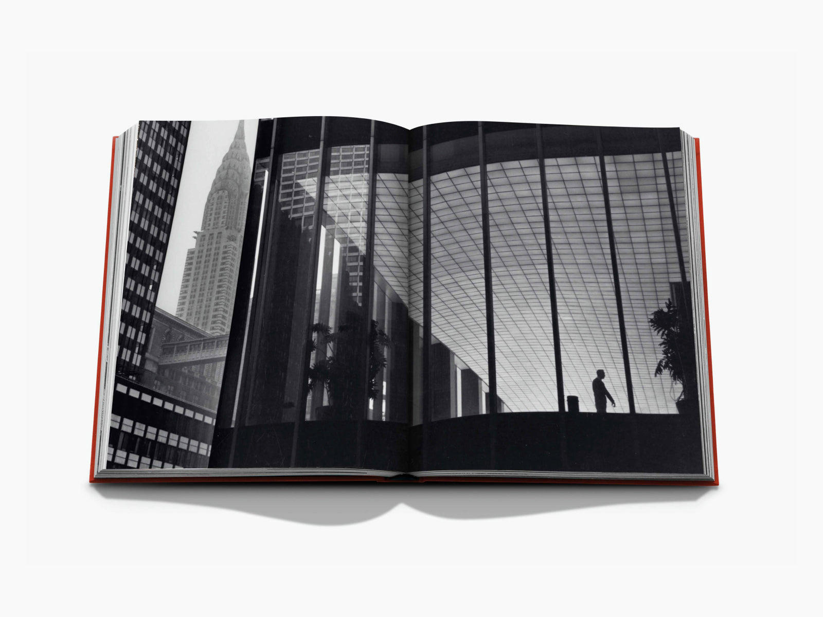 Open book spread in black and white showing dramatic city architecture and a solitary figure on a ledge.