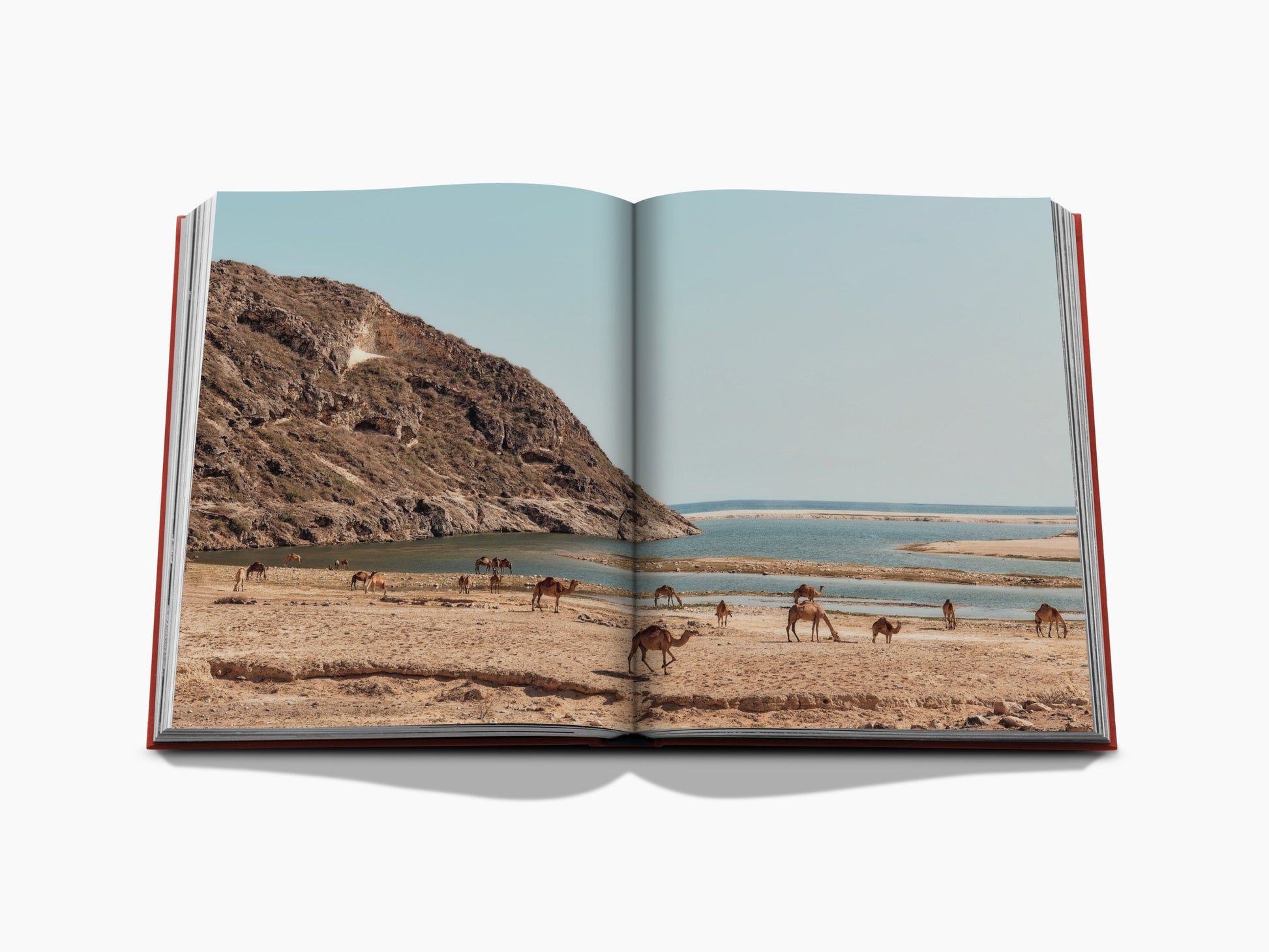 Desert coast scene with camels along a shallow lagoon, a rugged hill on the left and the calm sea on the horizon.