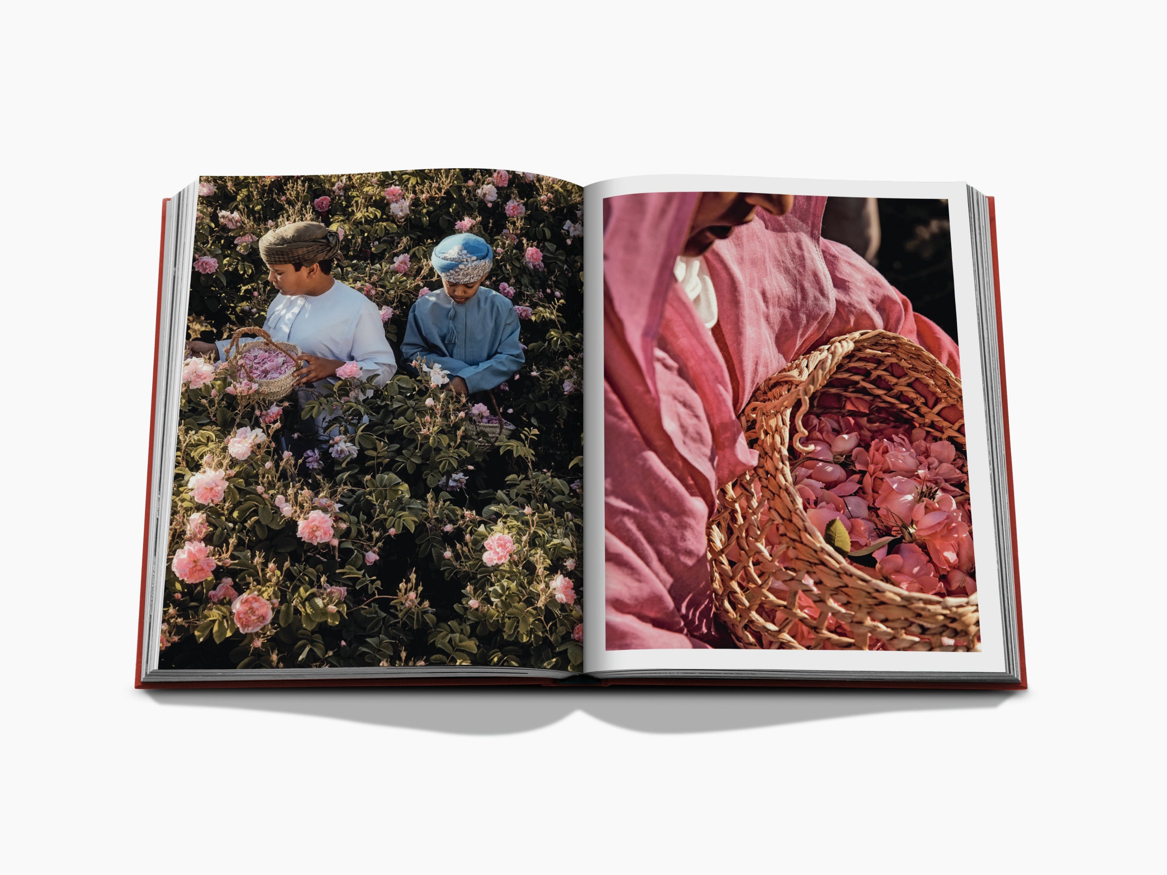 Two men in traditional Omani dress among pink rose bushes in a garden.