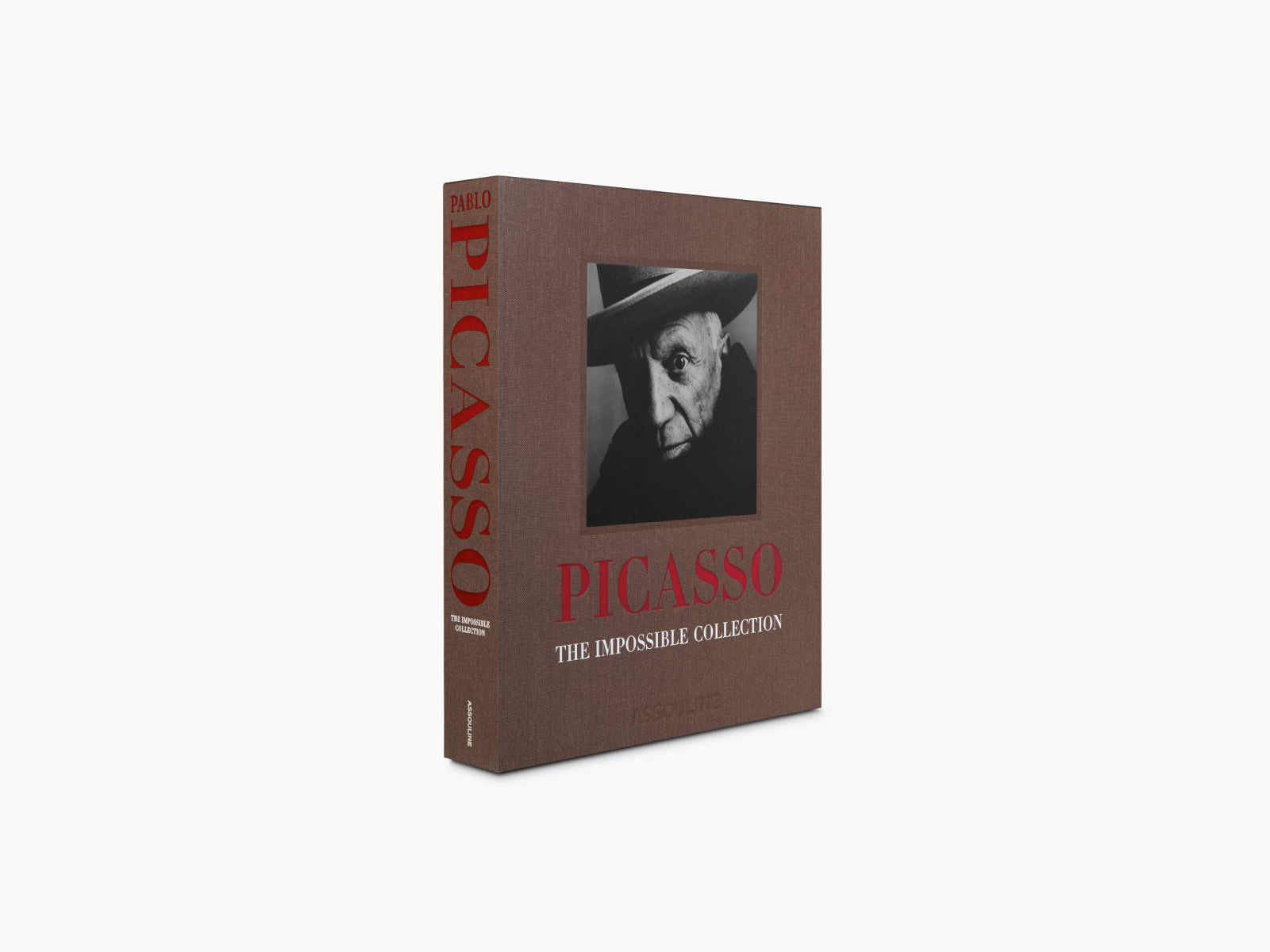 Three dimensional render of Picasso The Impossible Collection brown cover showing red vertical title along the spine
