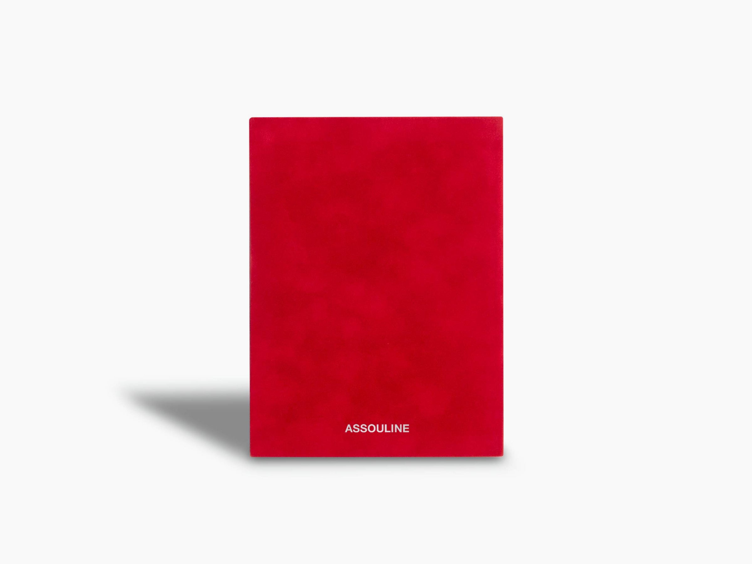 Red suede Provocations notebook with silver-foil branding at the bottom.
