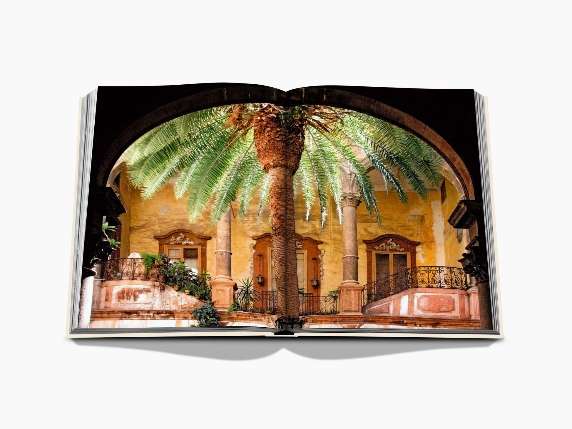 Sunlit Sicilian courtyard with a tall palm under an arch and ornate columns