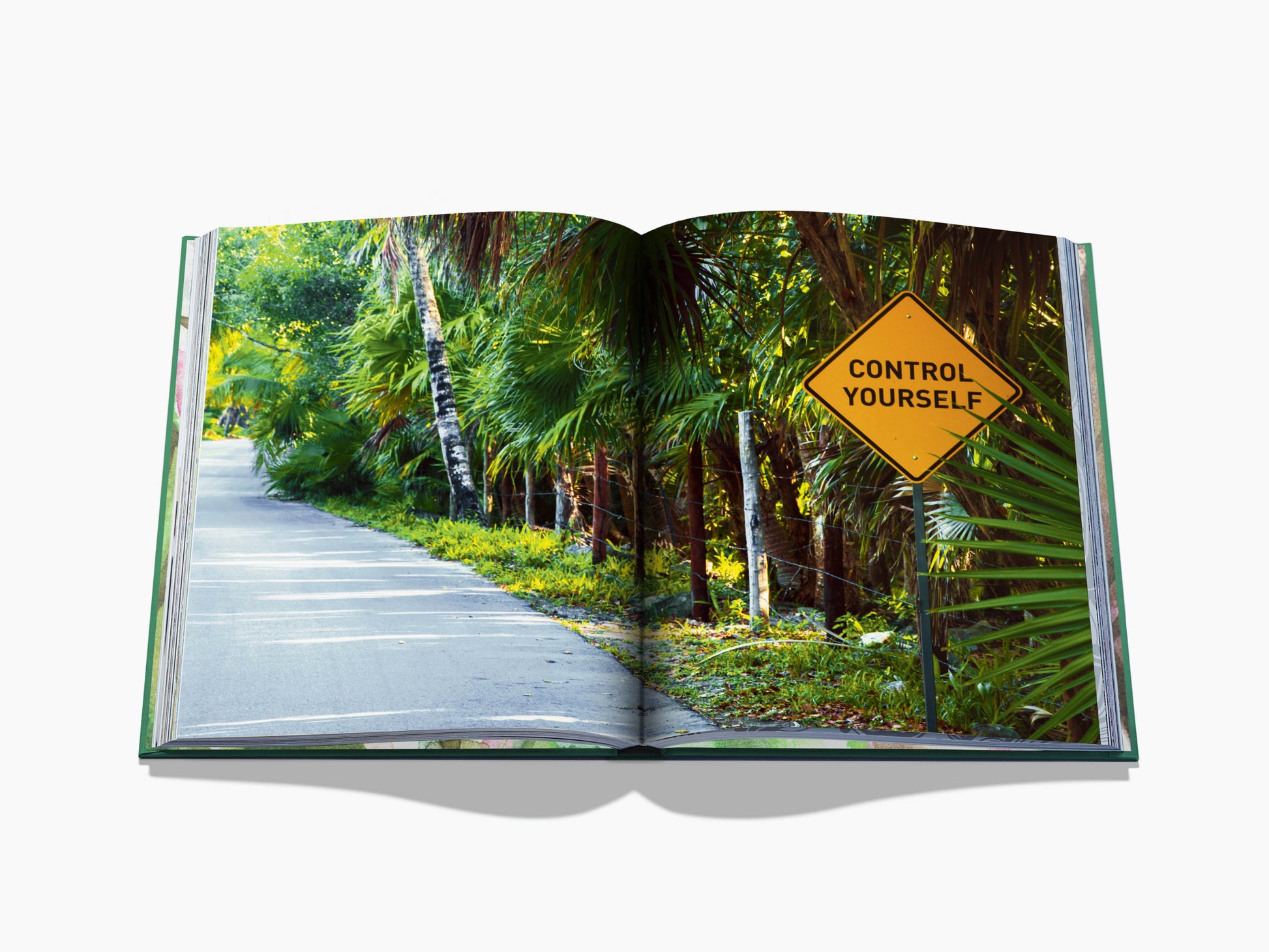 Open spread from Tulum Gypset capturing a palm lined road and a bright yellow control yourself sign on the right