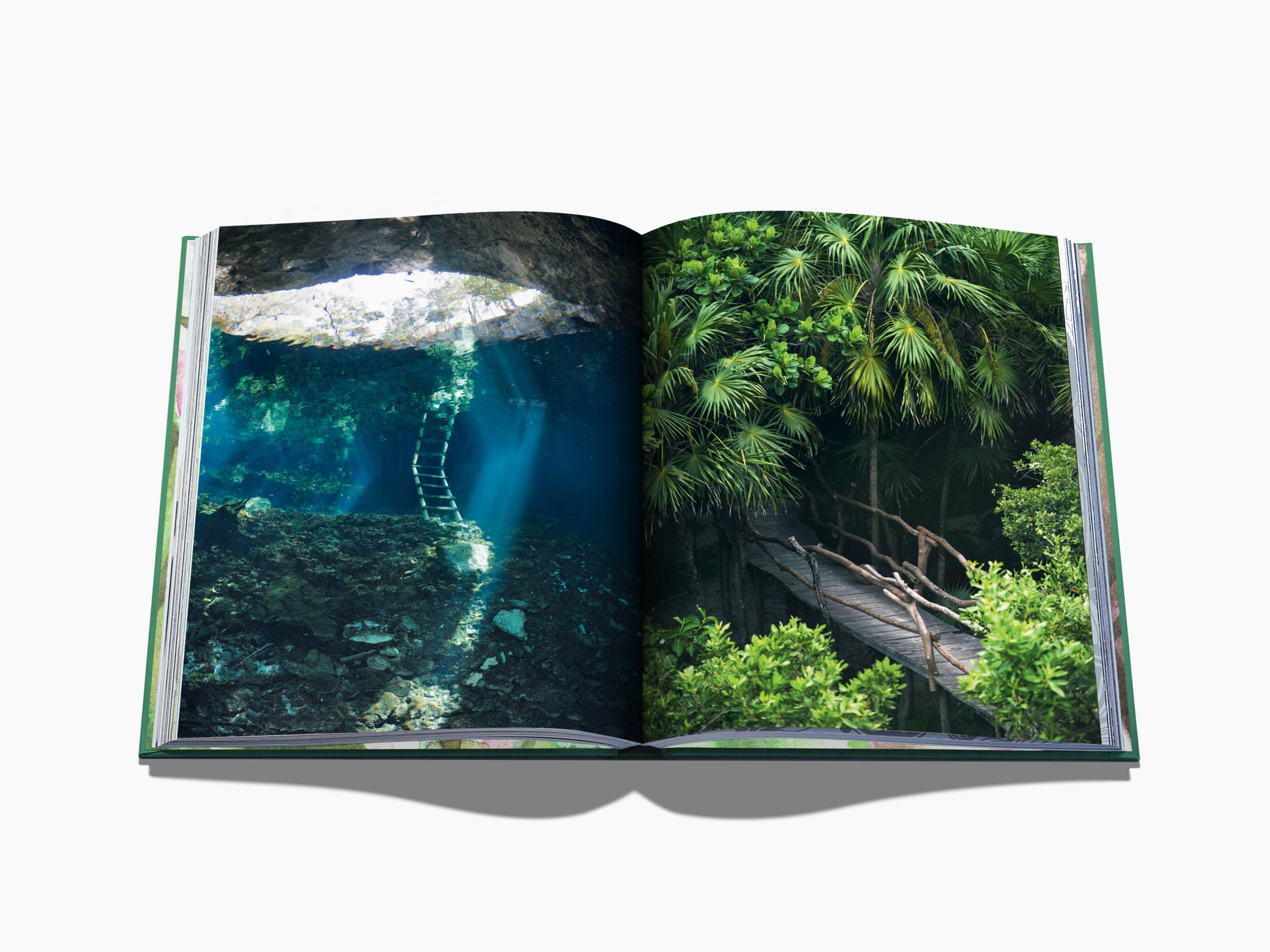 Spread from Tulum Gypset with an underwater cavern and ladder on the left and a wooden boardwalk through lush tropical palms on the right