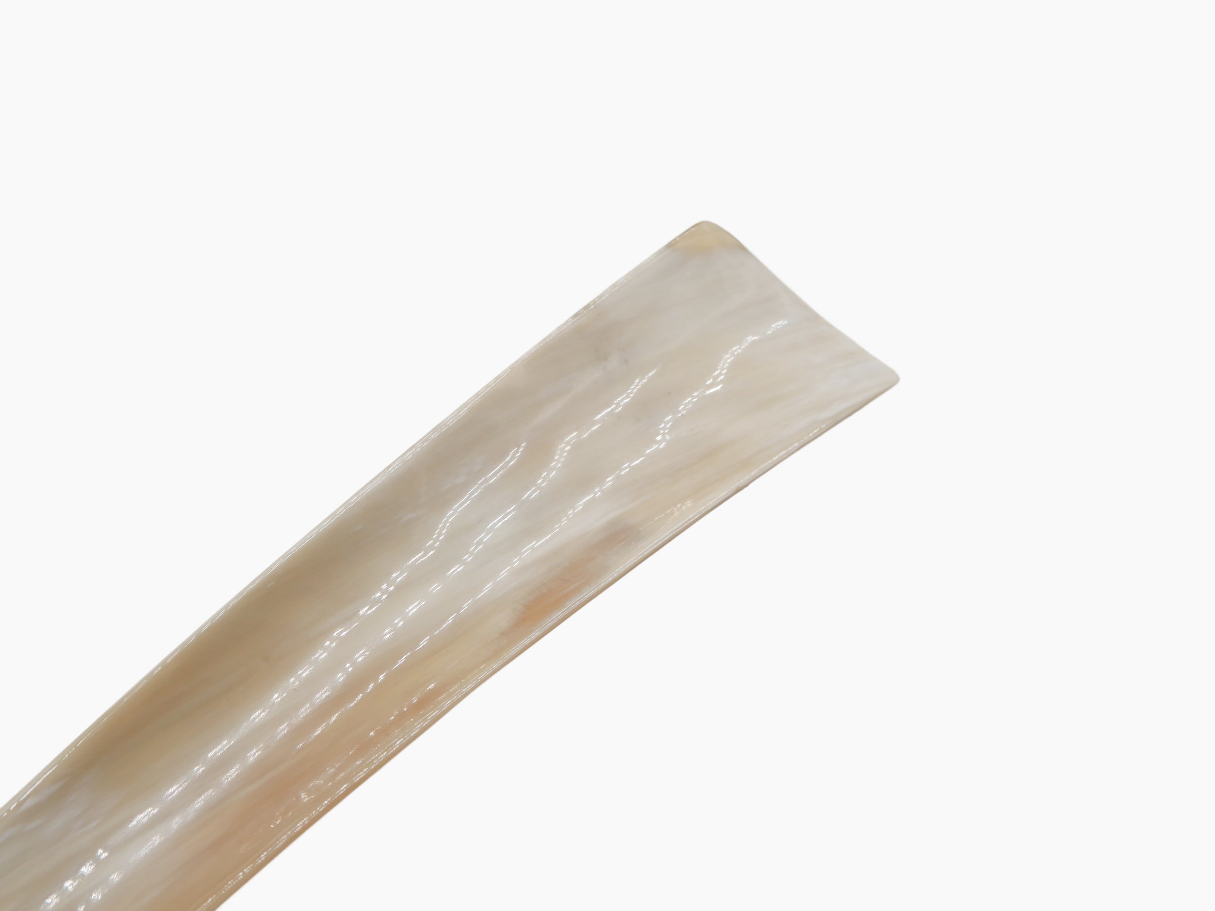 Curved natural buffalo horn shoehorn with a smooth beige surface