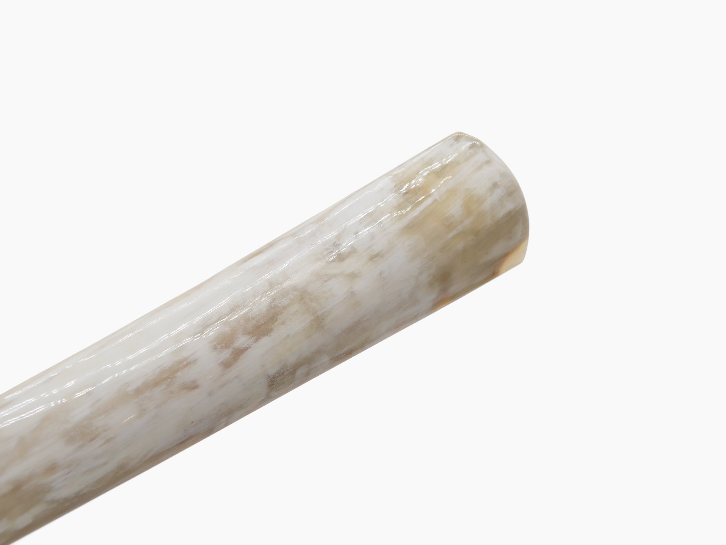 Close-up of the horn shaft ending in a rounded tip with pale marbling