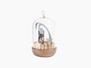 Oeno Motion Groom wine tool set under a glass dome on a walnut base.