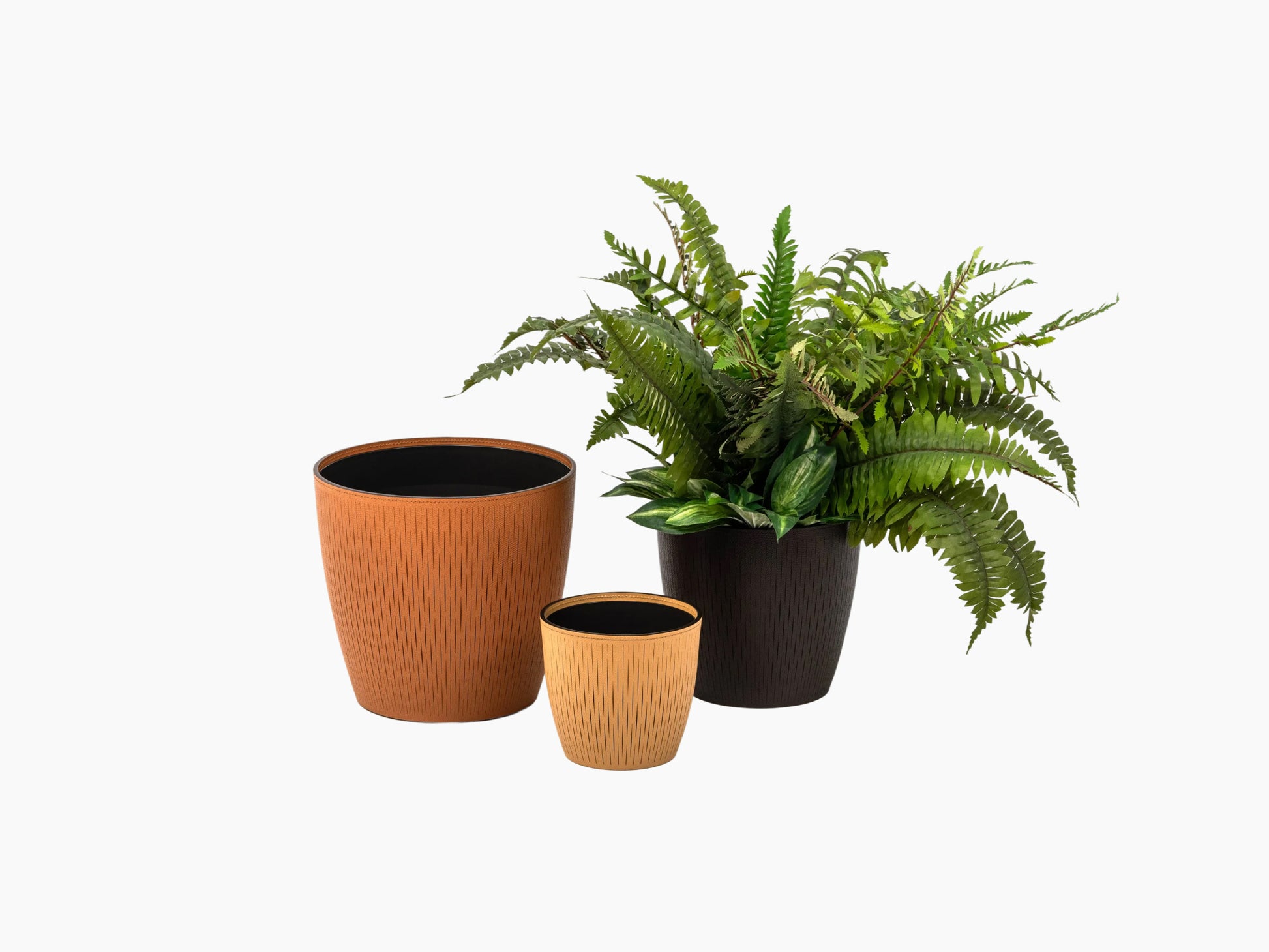 Set of three Silvy flower pots in terracotta and dark finishes with a lush fern arrangement