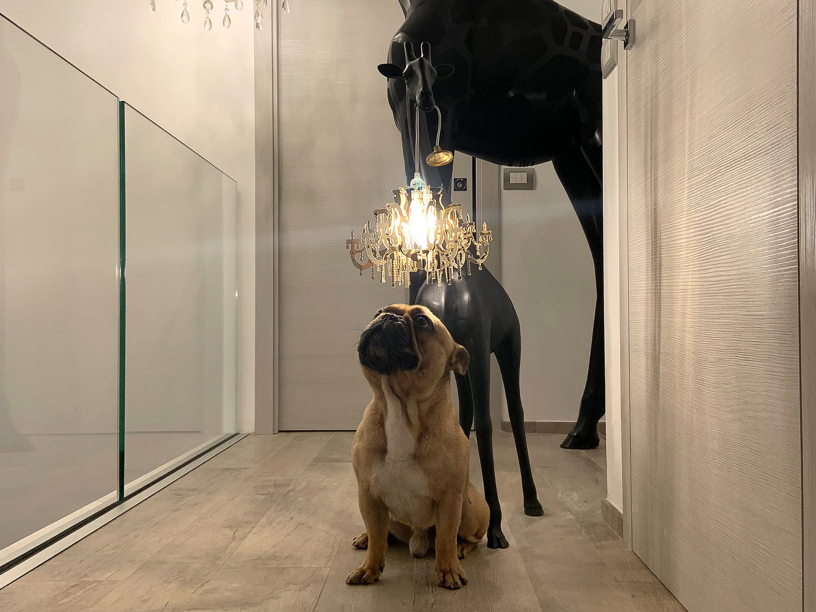 Black Giraffe in Love XS sculpture with a gold crystal chandelier hanging from its neck.