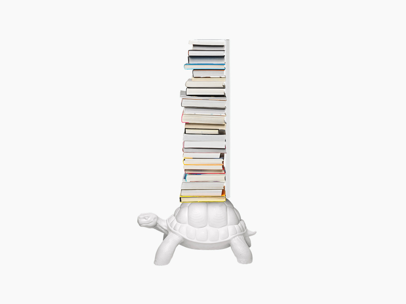 White turtle bookcase showing a long row of books balanced on its back