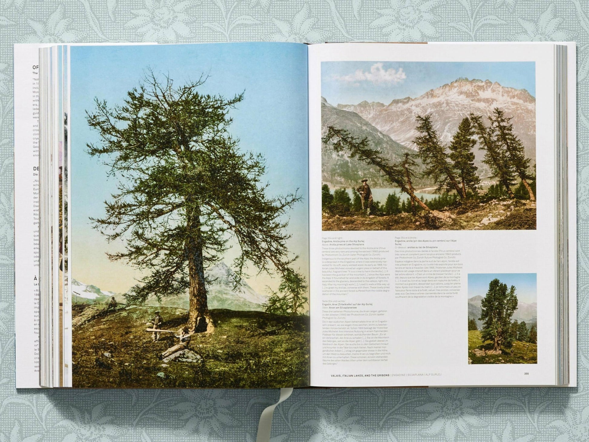 Two page spread with a towering snow covered tree in a valley and distant Alpine peaks, plus a small inset of a lone tree on a hillside