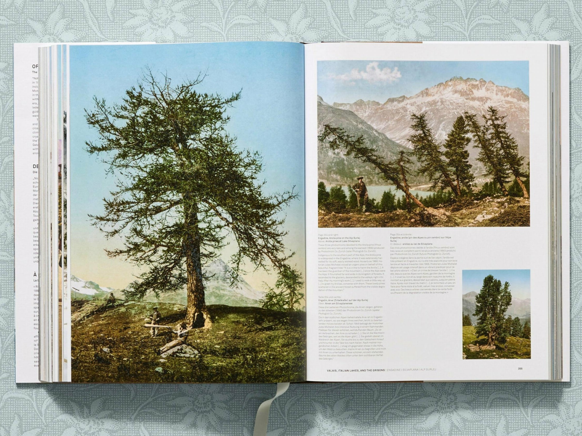 Two page spread with a towering snow covered tree in a valley and distant Alpine peaks, plus a small inset of a lone tree on a hillside
