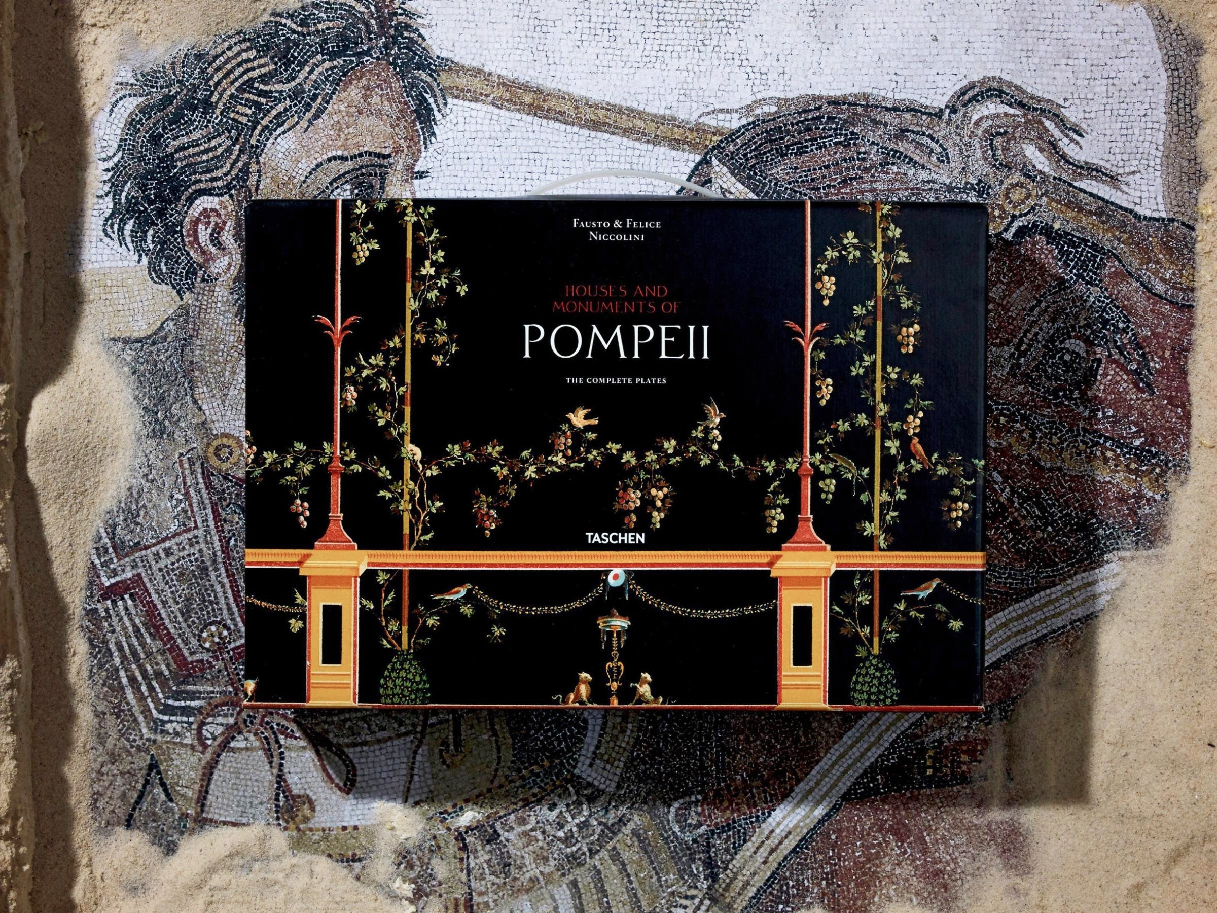 Black box style Pompeii volume with gold vine motifs and a central title panel against a mosaic backdrop.