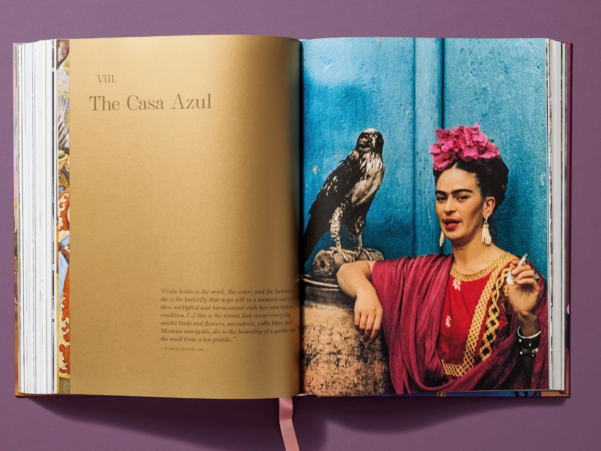 Open spread from Frida Kahlo The Complete Paintings showing The Casa Azul on a gold page and a vibrant portrait with a bird on the right.