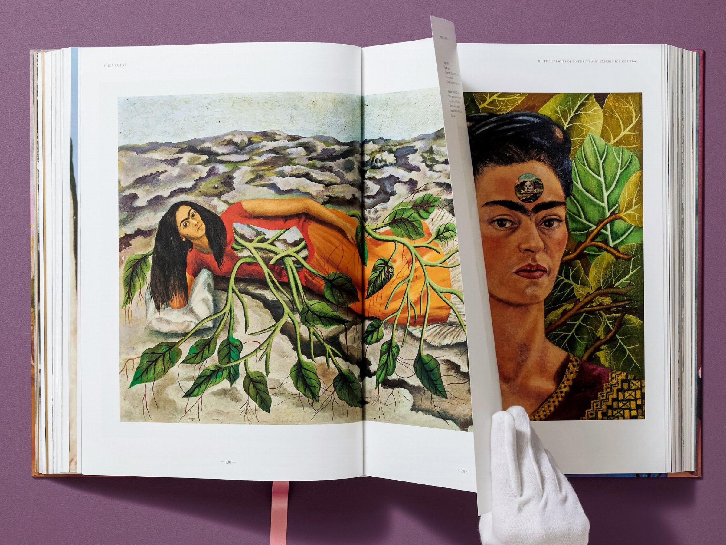 Two page spread from Frida Kahlo The Complete Paintings with a vine wrapped figure on the left and a Frida Kahlo portrait on the right; bookmark visible.