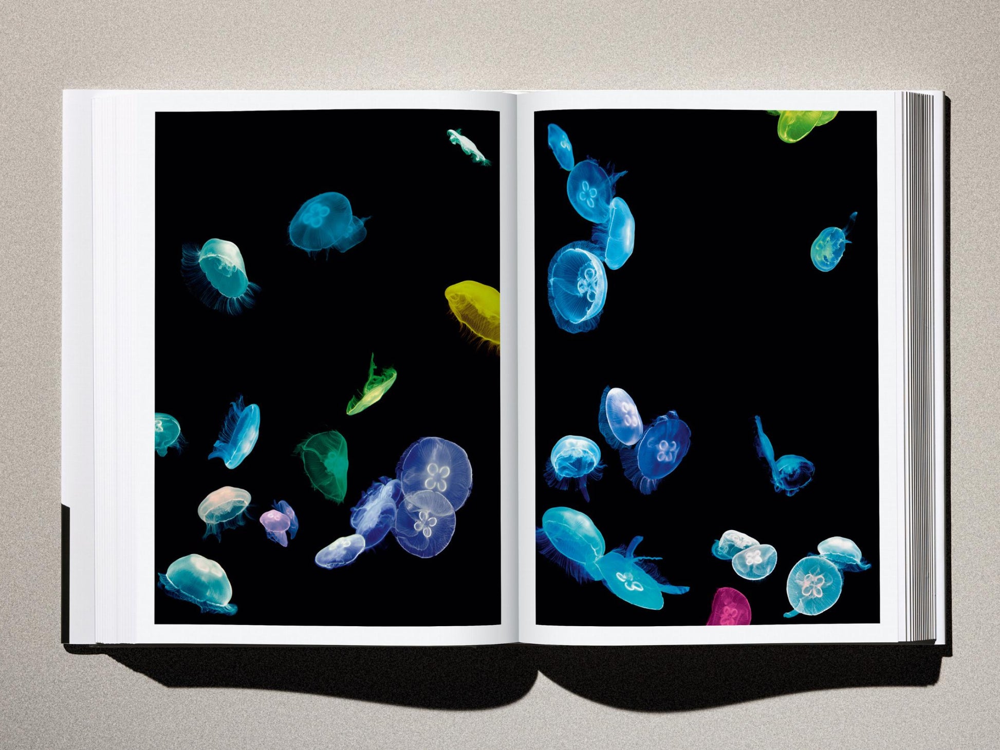 Open Kaos spread displaying colorful jellyfish against a black background on a two page layout.