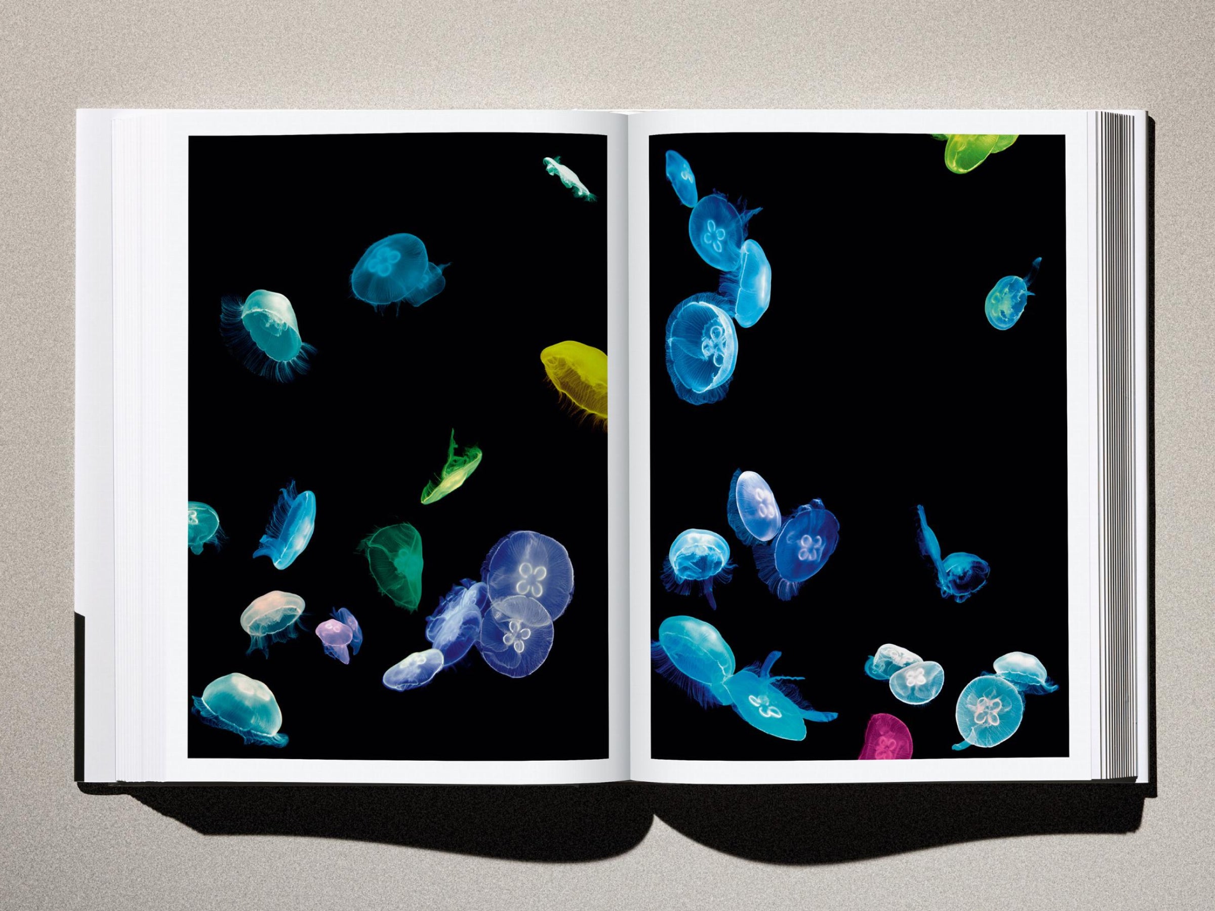 Open Kaos spread displaying colorful jellyfish against a black background on a two page layout.