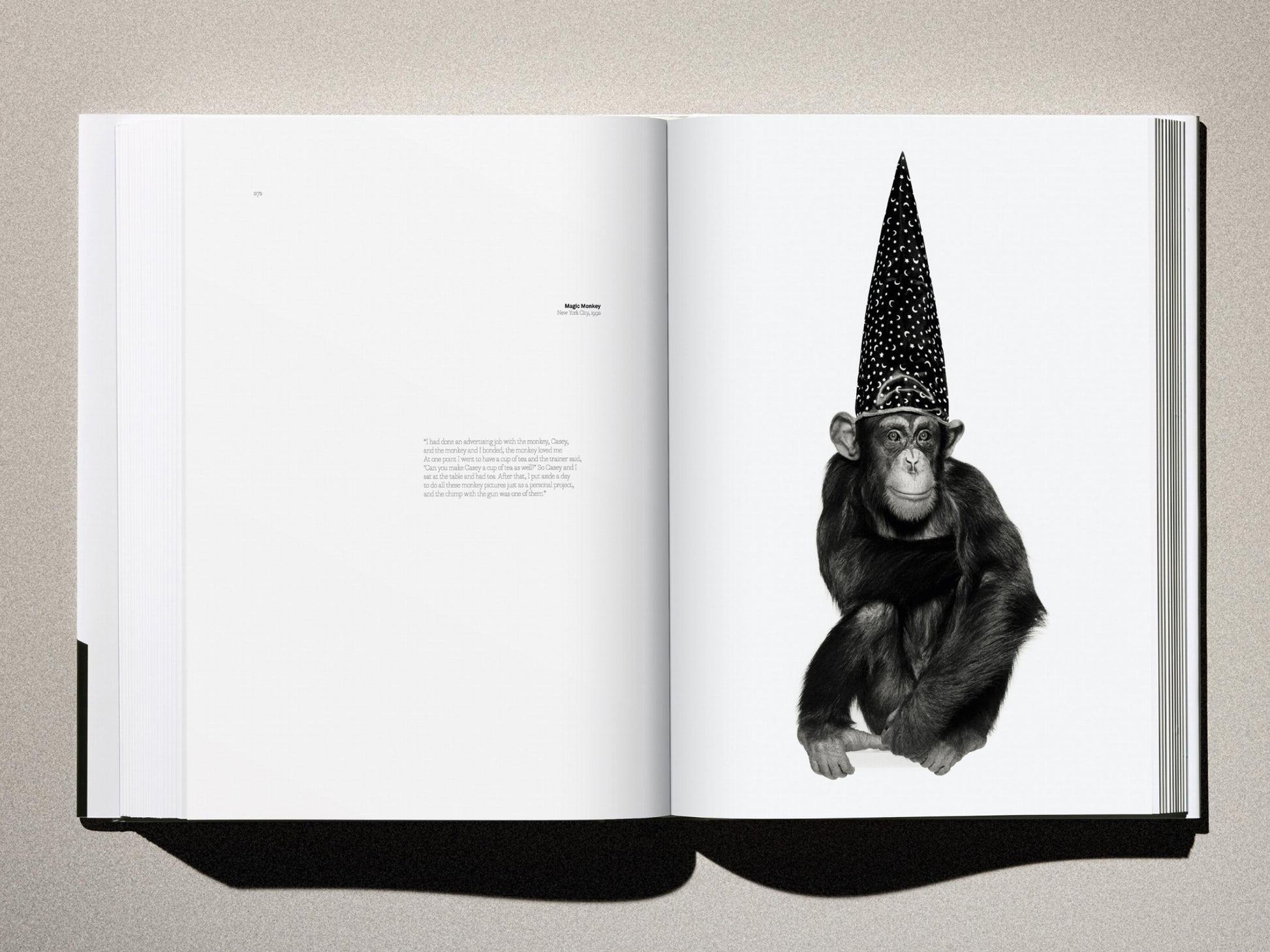 Left page has small caption text, right page shows a chimpanzee wearing a tall dotted party hat against a plain background.