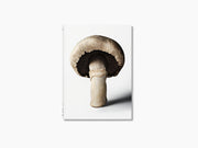 Mushroom image on the cover of The Gourmand Mushroom against a clean white background