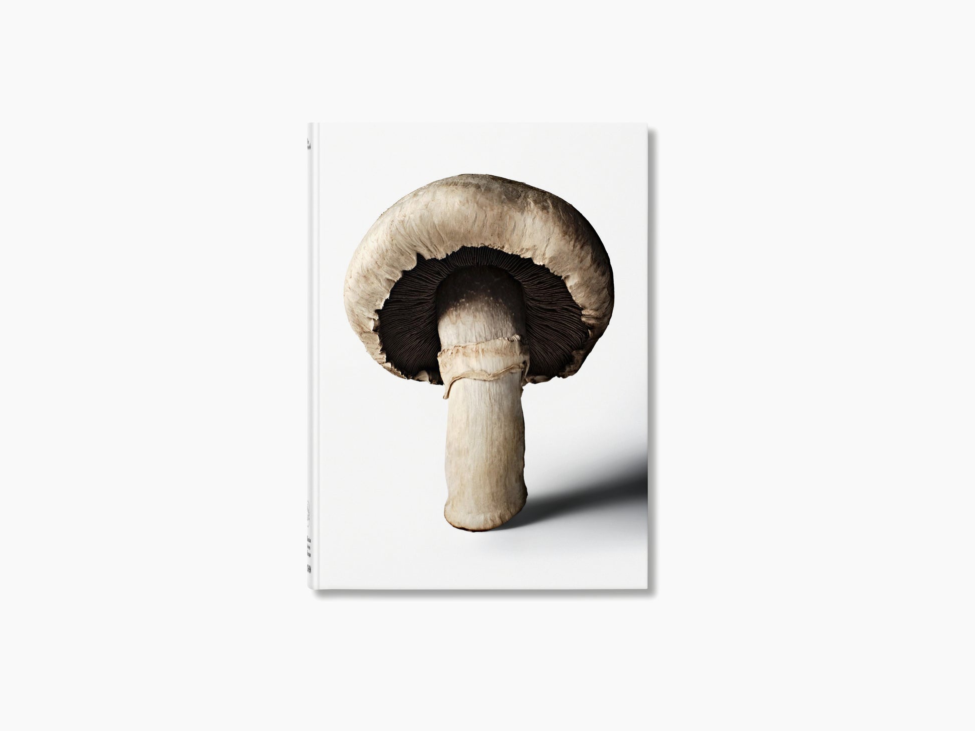Mushroom image on the cover of The Gourmand Mushroom against a clean white background