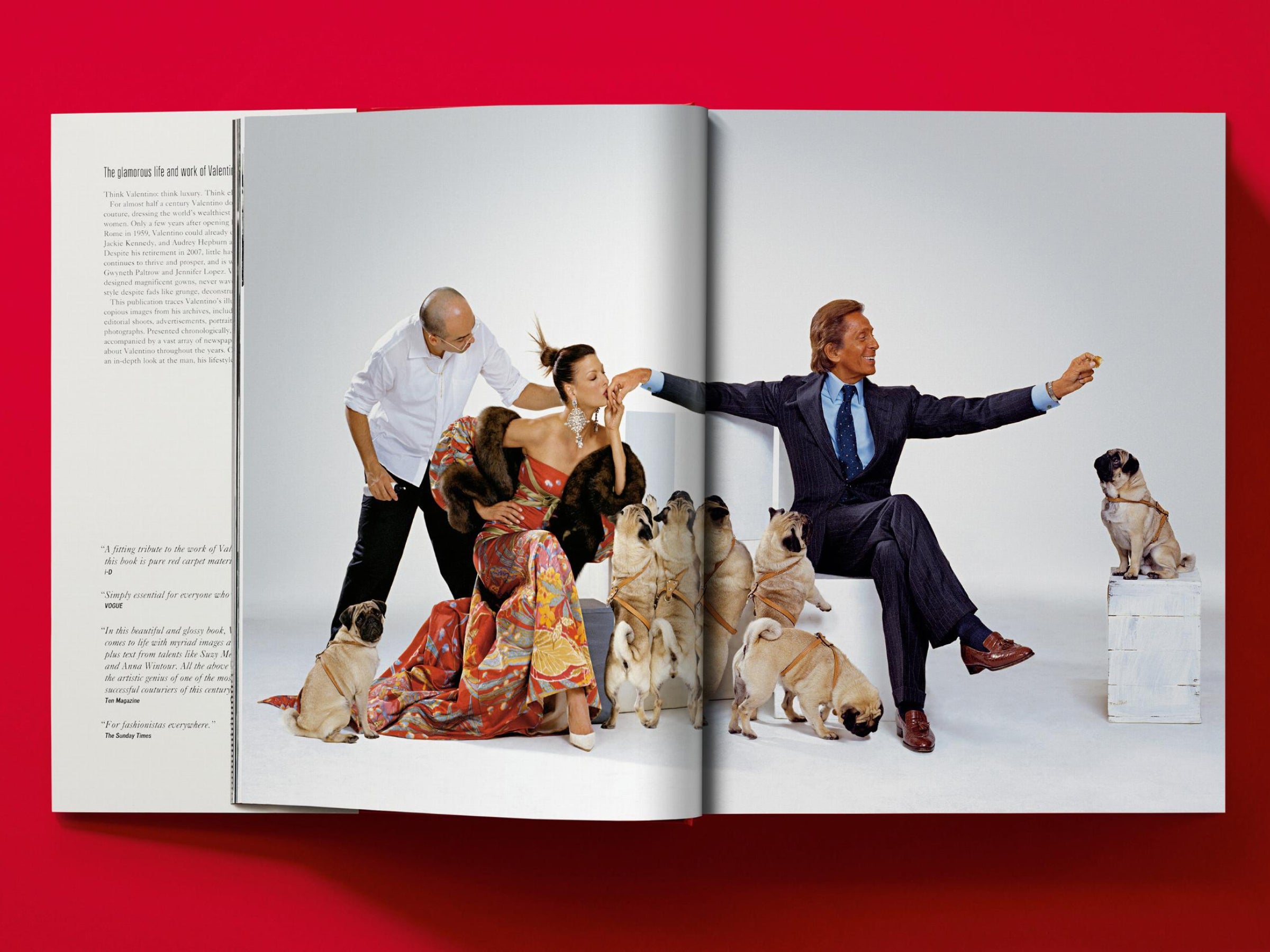 Open book spread with a top view of women in red gowns, a man in a suit, and dogs on a grassy lawn.