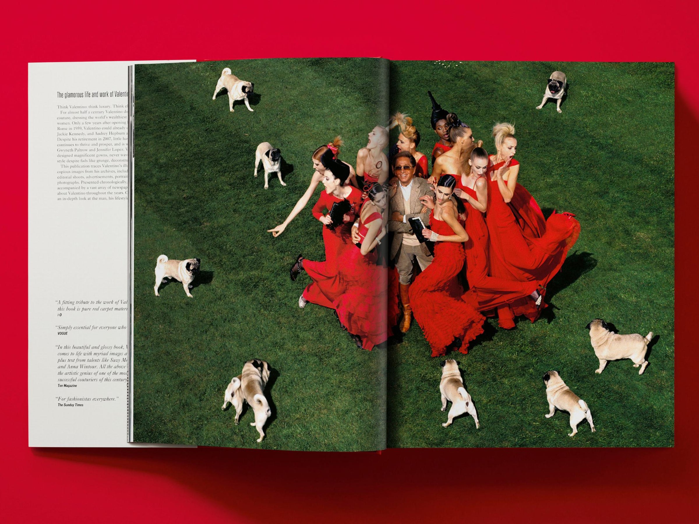 Spread showing a high fashion group portrait of women in red gowns on a lawn with pugs, photographed from above.