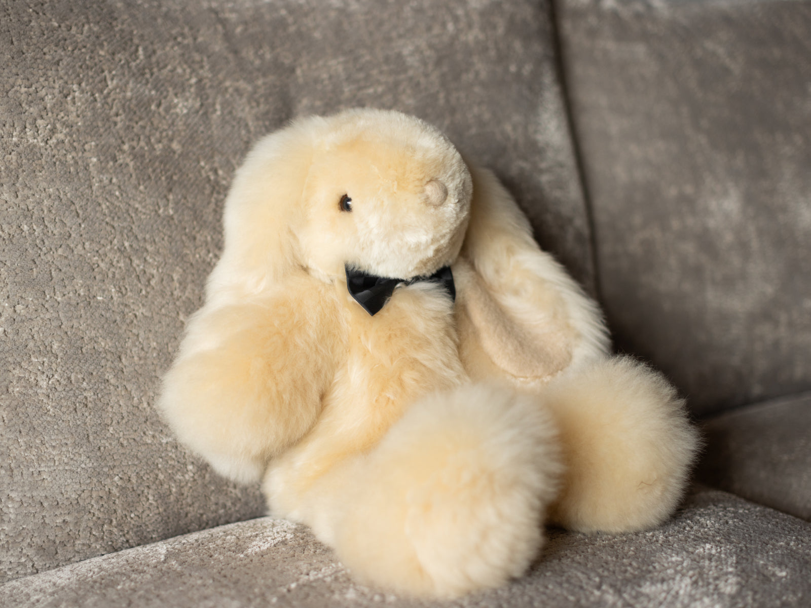 Milo the cream alpaca rabbit plush resting on a textured gray sofa with a black bow tie