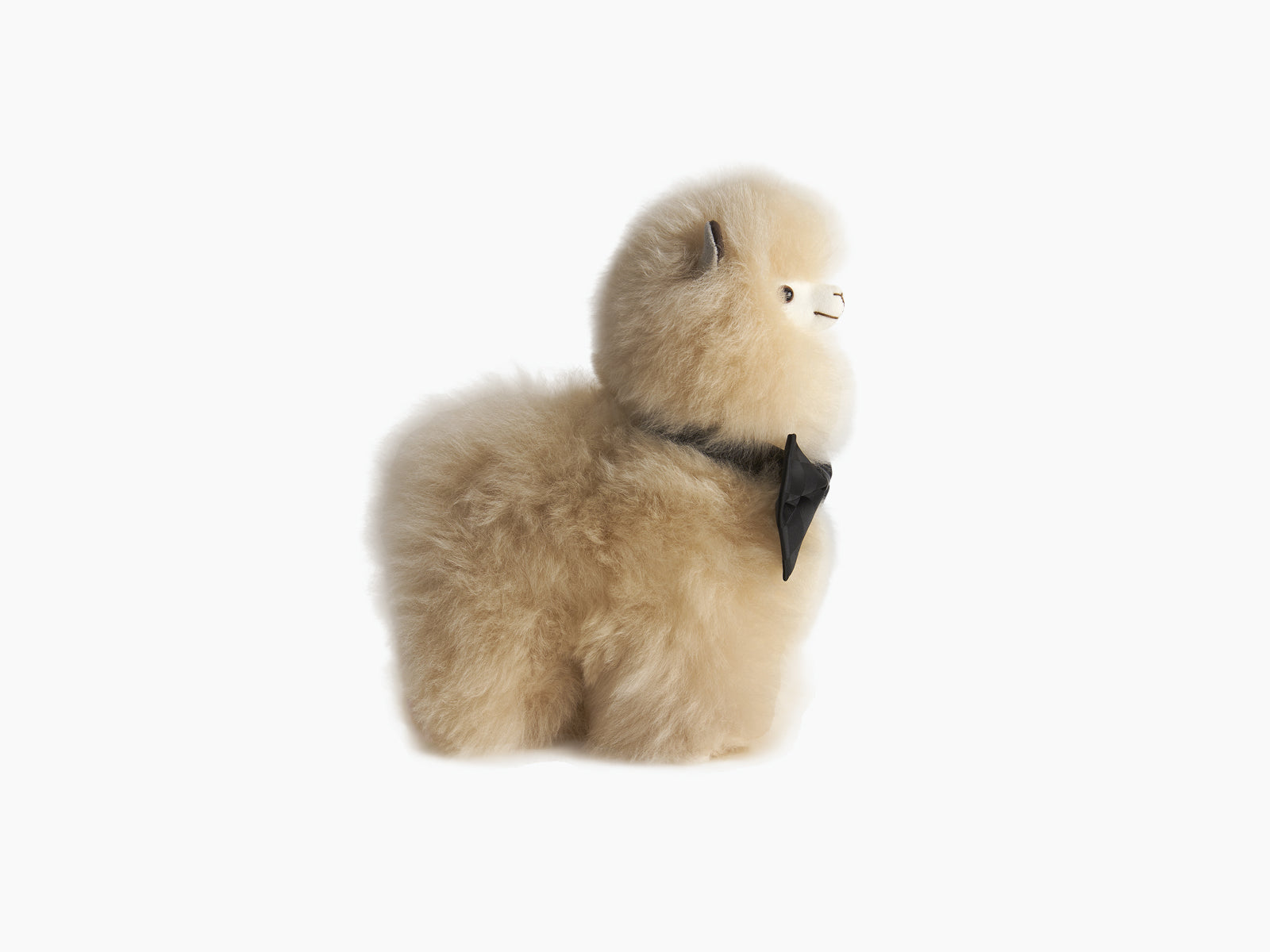Cream Paco alpaca plush with a black bow tie in a side profile.