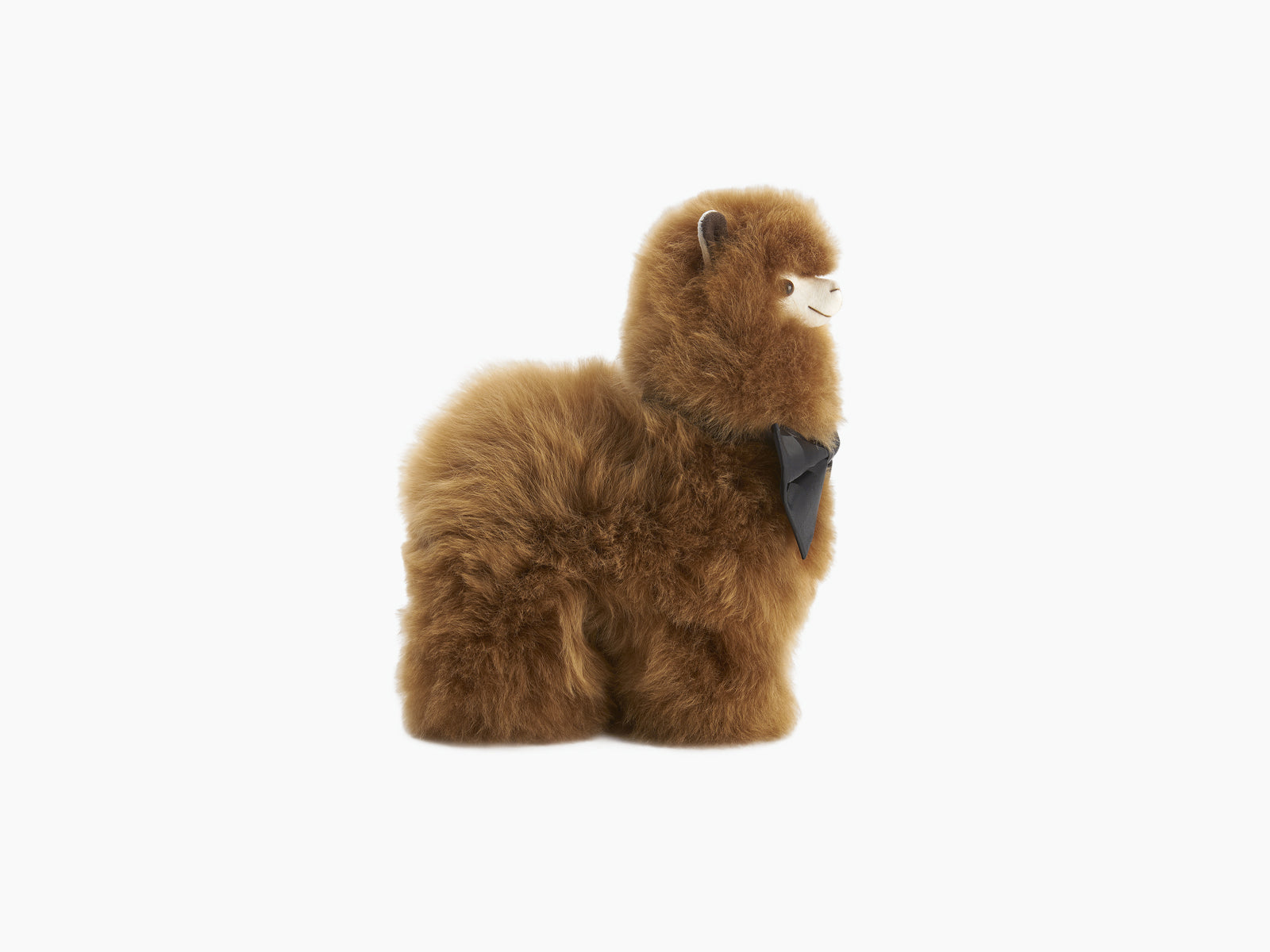 Fluffy brown alpaca plush with a light face and a black bow tie on a white background