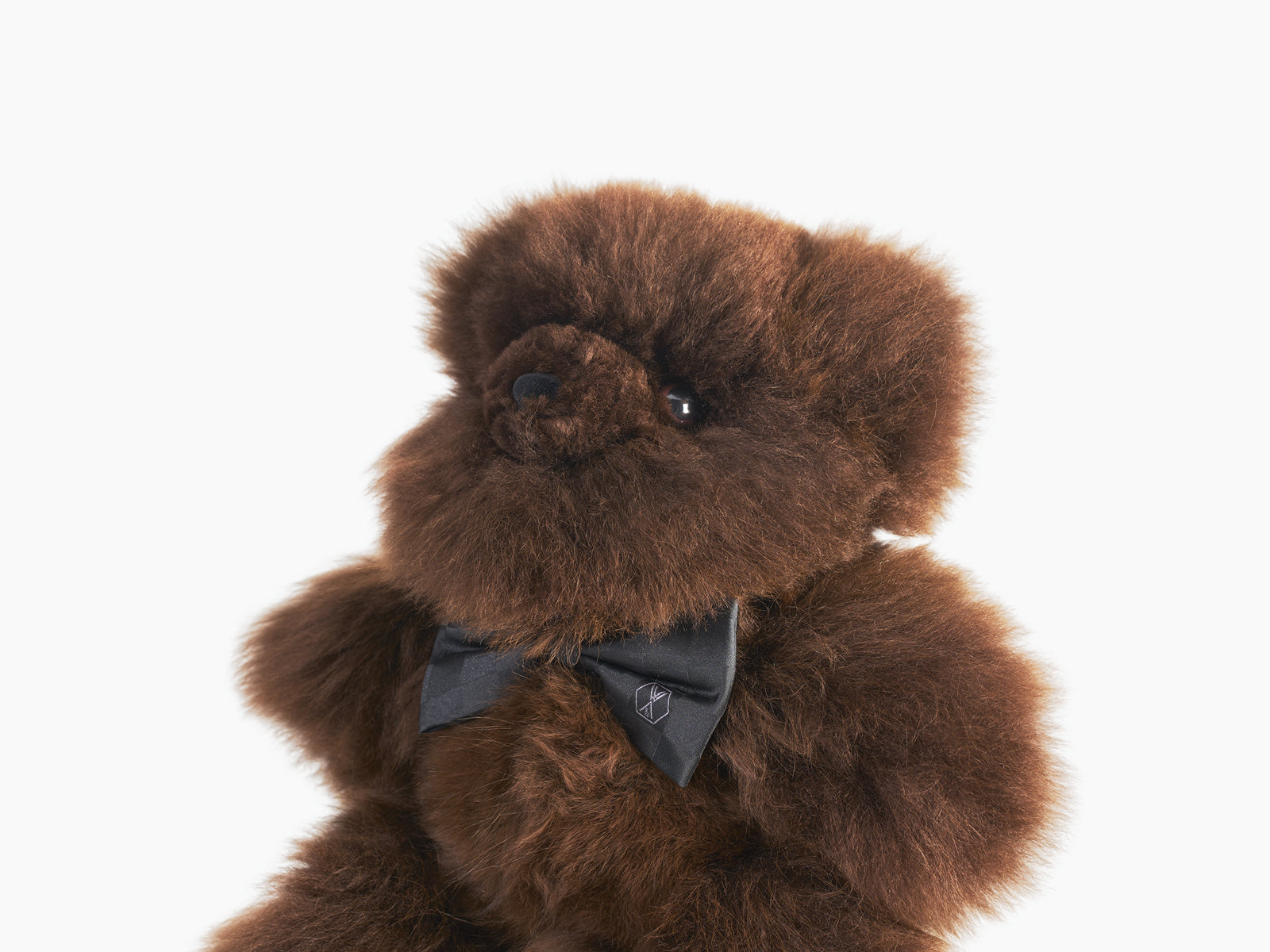 Close up of Pelu the brown teddy bear showing fluffy fur and a dark bow tie